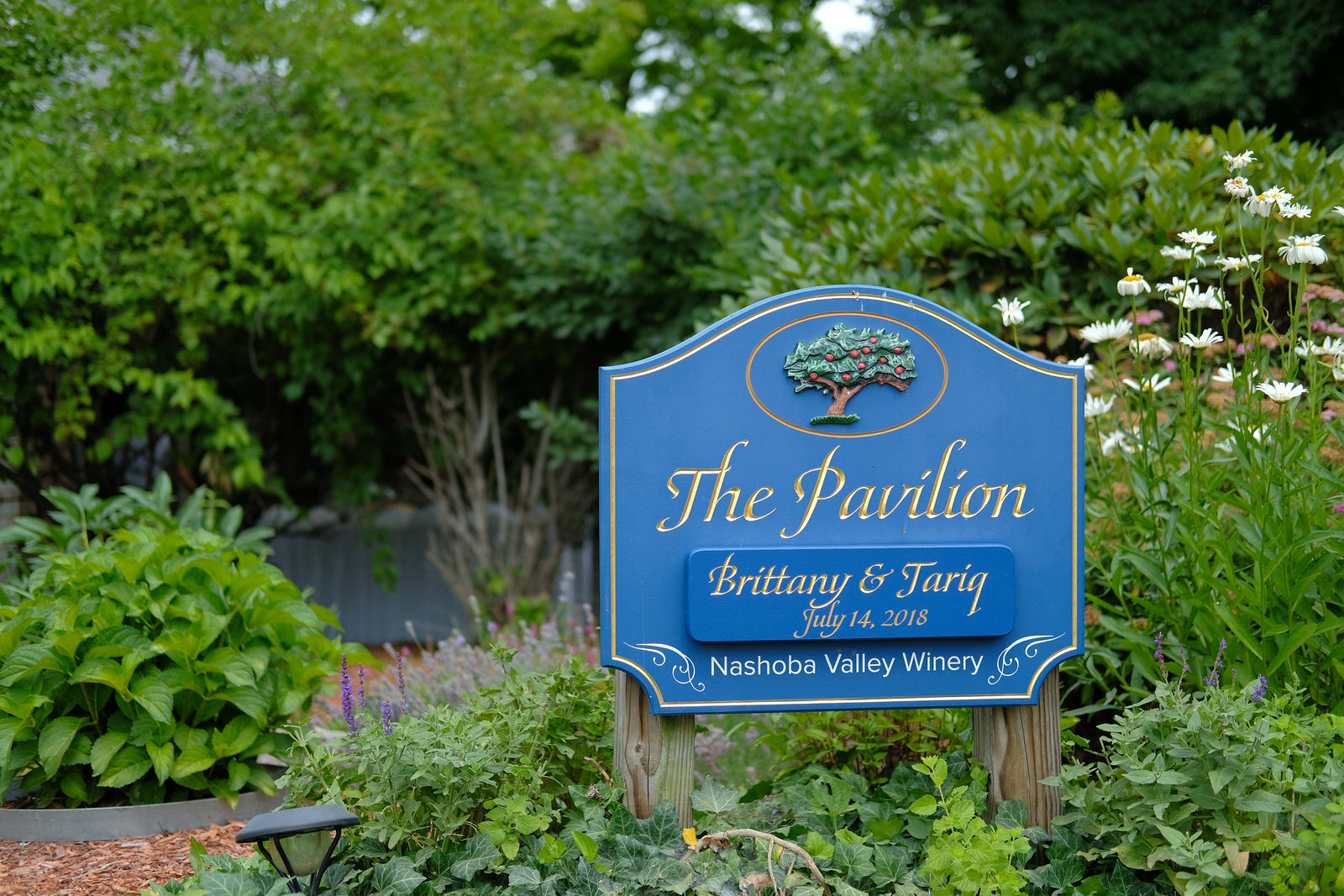 nashoba-valley-winery-wedding-photography-10.jpg