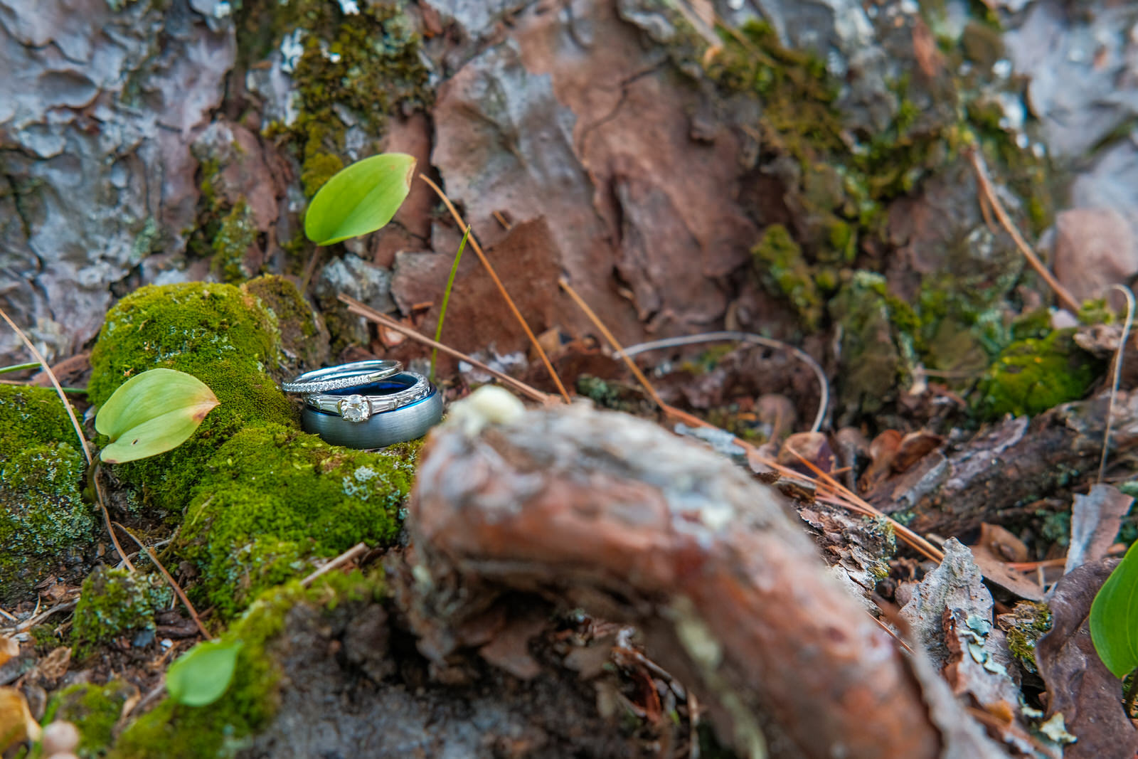 white-mountains-campground-wedding-photography-13.jpg