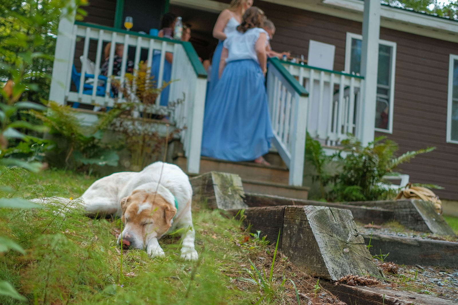 white-mountains-campground-wedding-photography-549.jpg