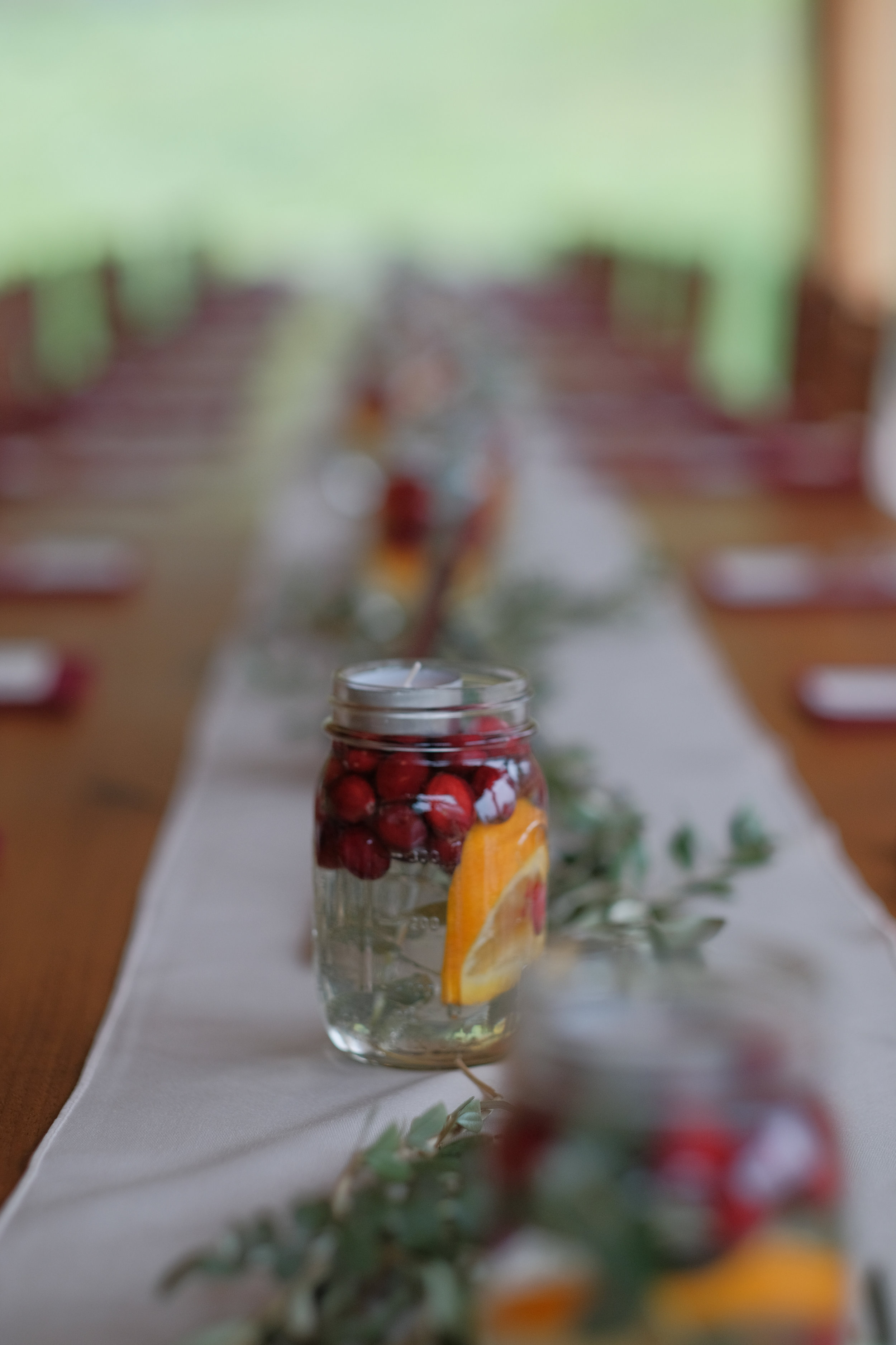 Locke-Falls-Farm-wedding-photography-74.jpg