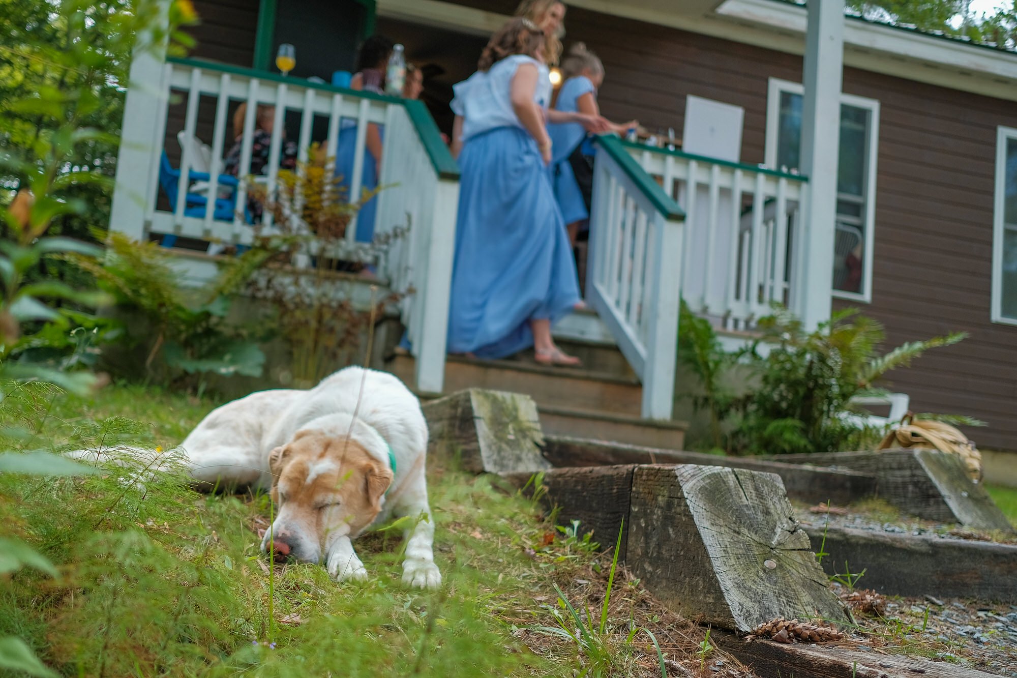 Northern_Maine_Wedding_Photography-548.jpg