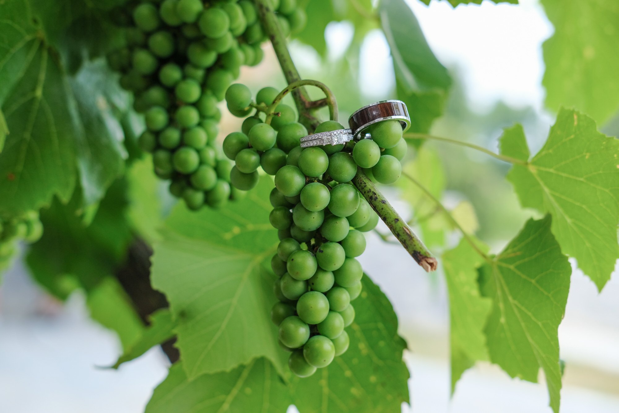 Winery_Wedding_Photography_Massachusetts-1117.jpg