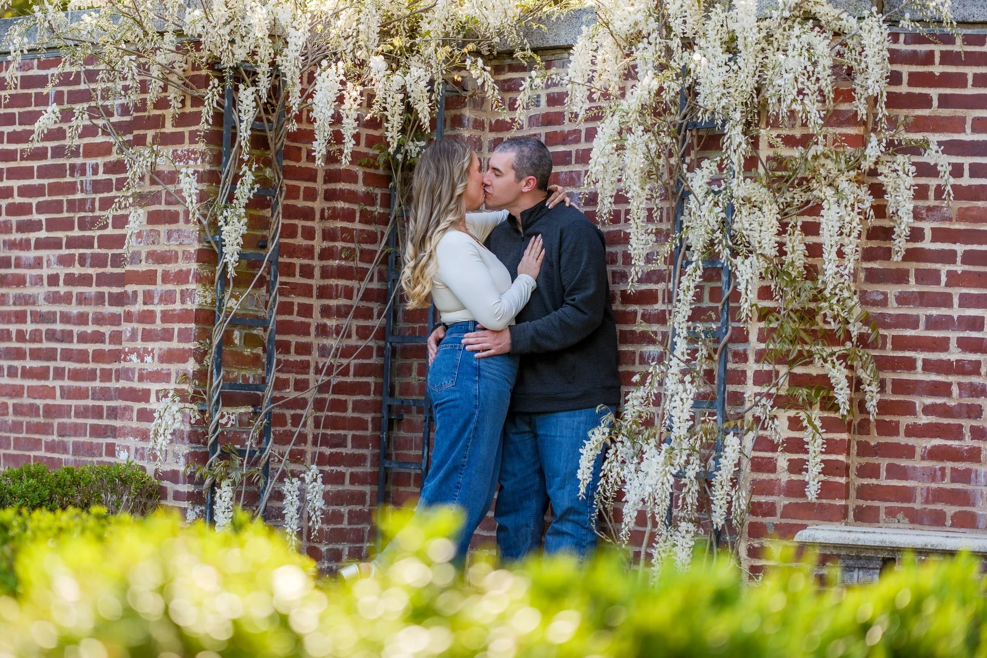 Couple sharing a kiss beneath cascading white wisteria on the brick garden wall at Maudslay State Park