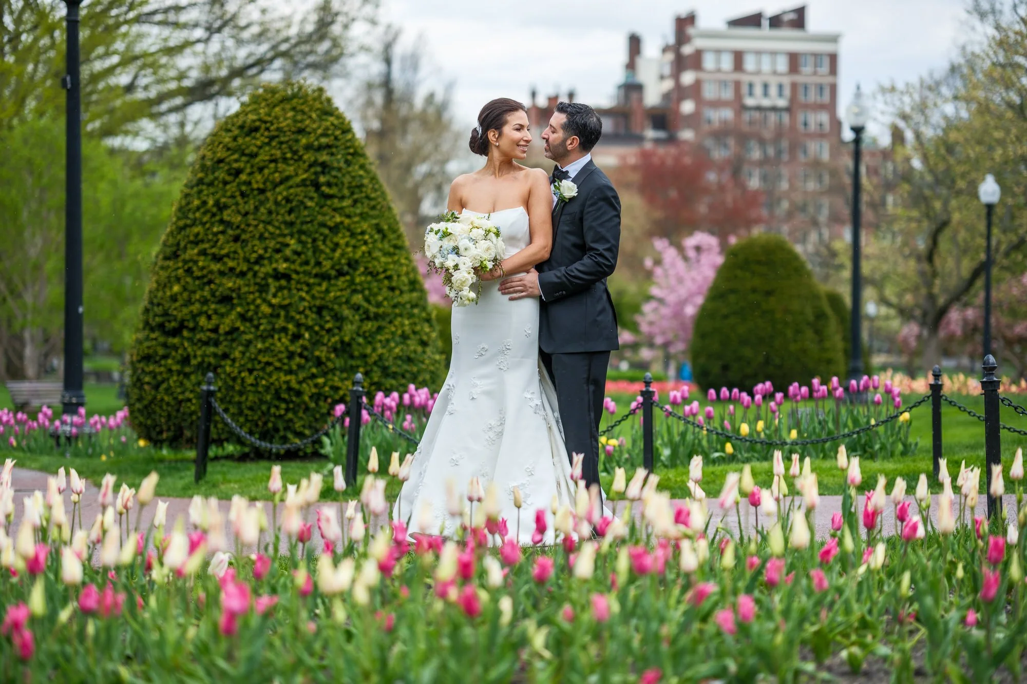 Bride and groom embracing among spring tulips in the Boston Public Garden with pink flowering trees