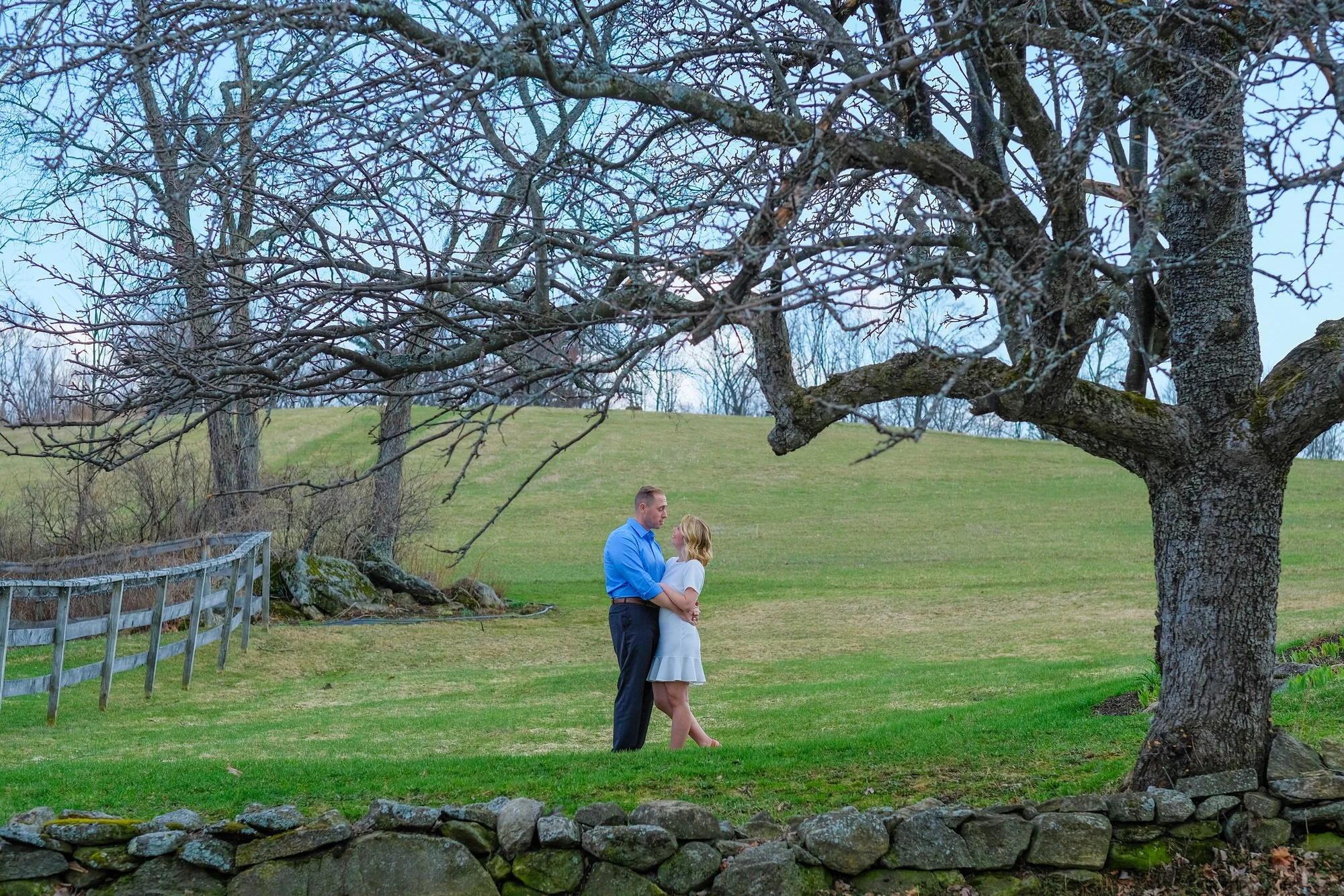 Newlywed couple embracing in a pastoral New England field framed by a gnarled old tree and stone wall in early spring