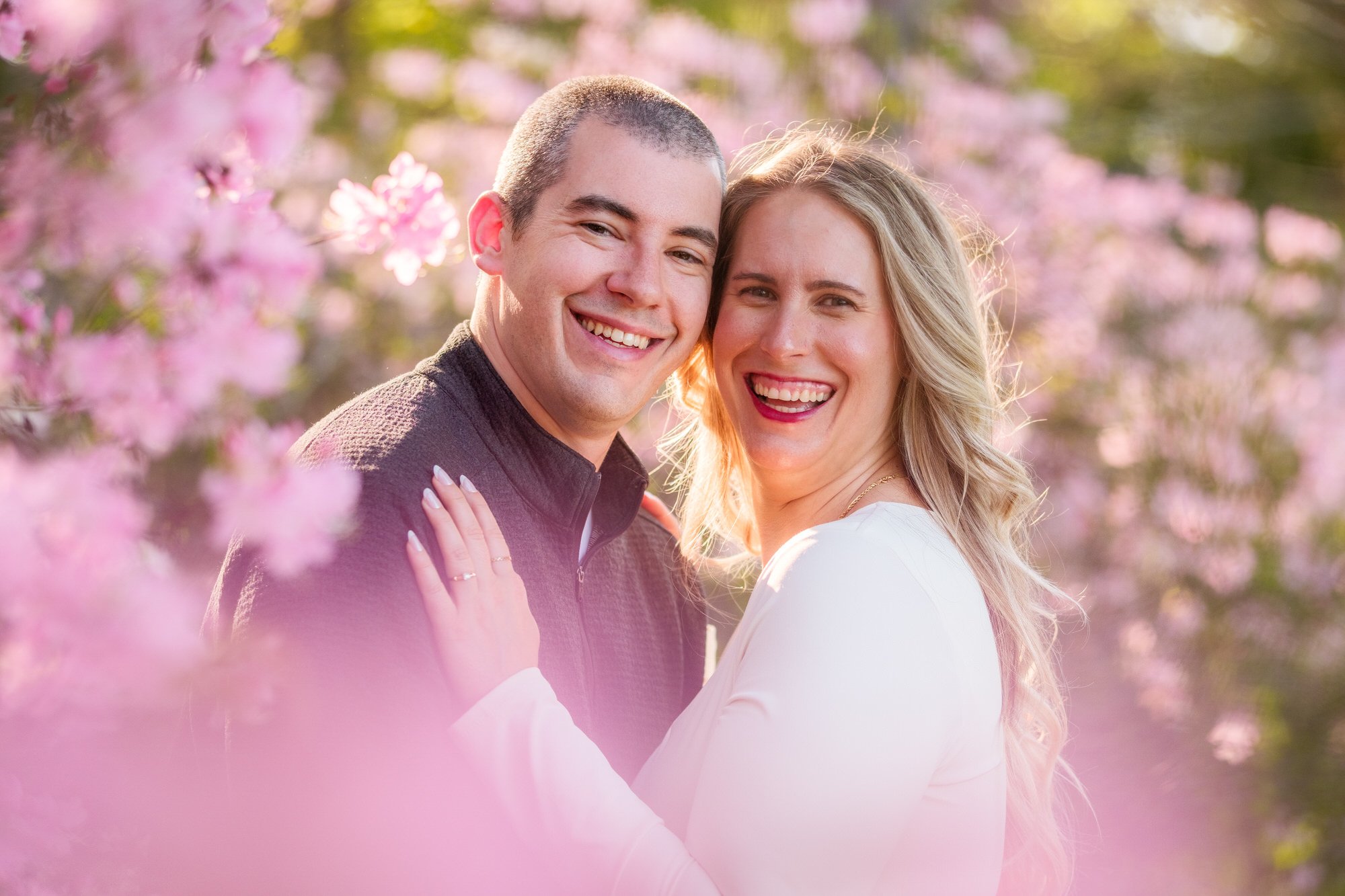 Joyful engaged couple laughing cheek-to-cheek surrounded by soft pink cherry blossoms in golden hour light at Maudslay State Park