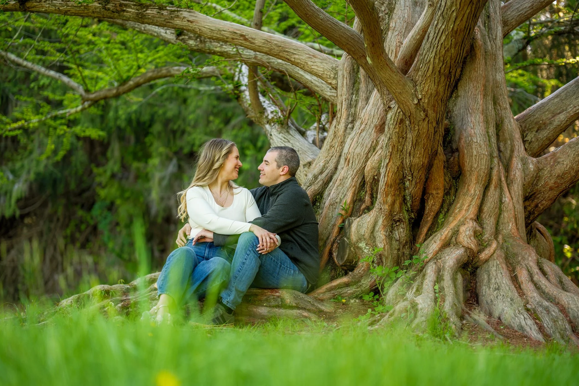 Couple gazing at each other while seated at the base of a dramatic ancient tree at Maudslay State Park in Newburyport