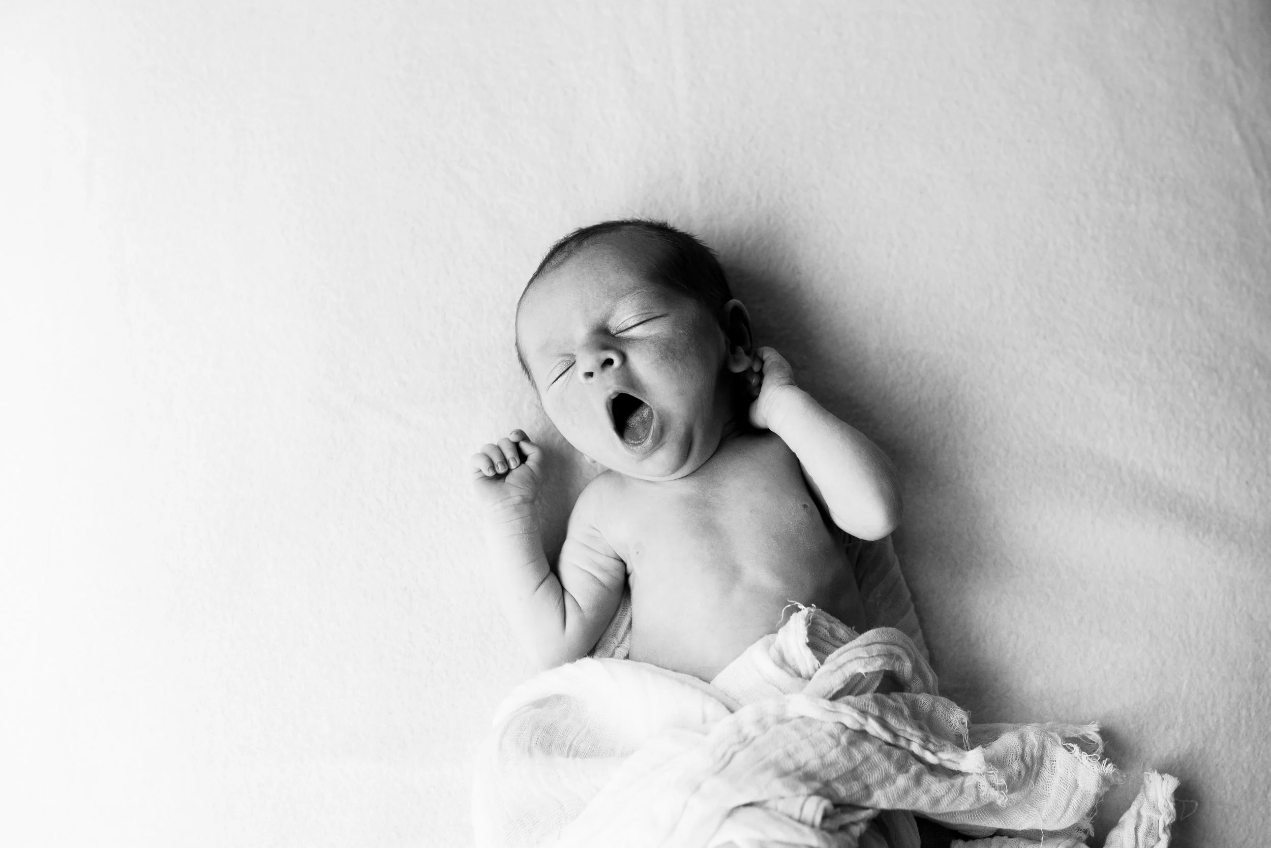 babyyawn.jpg