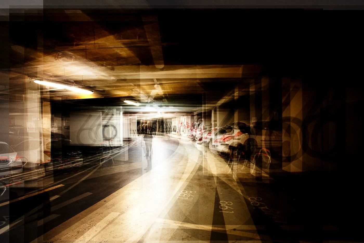 LDKphoto-PK6_02.jpg