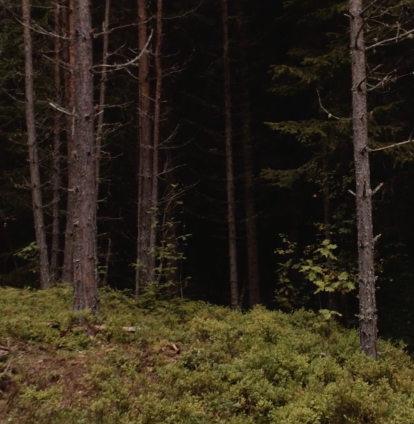 Skjermbilde 2016-09-21 kl. 22.30.10.png