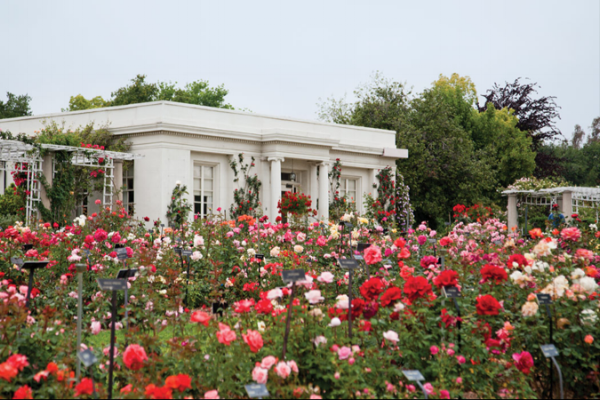 Photo: Courtesy of The Huntington