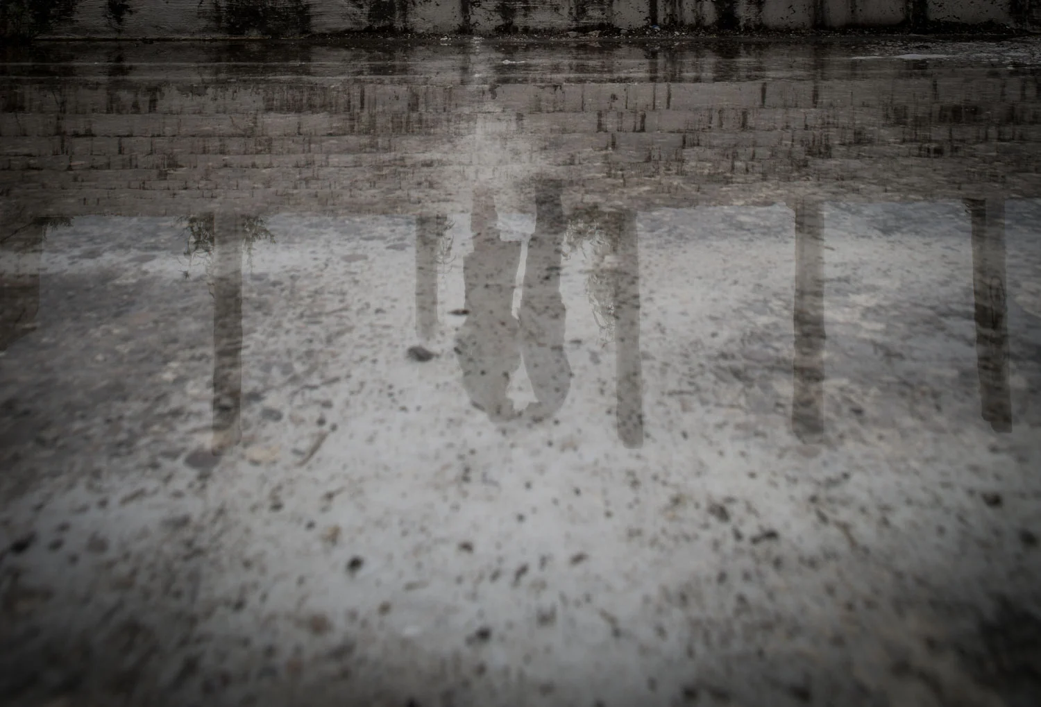 1500 px-45.jpg