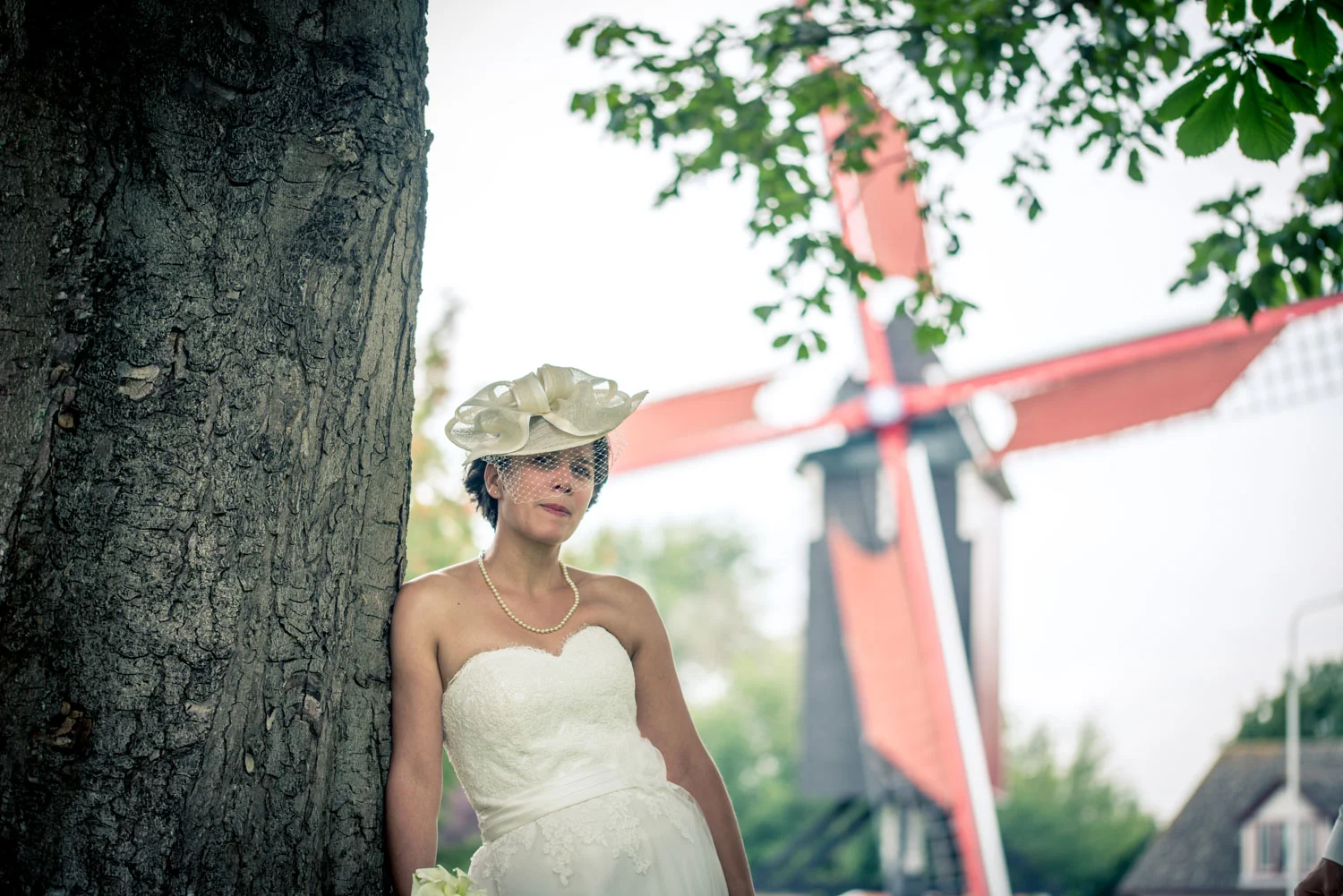 1500 px-324.jpg
