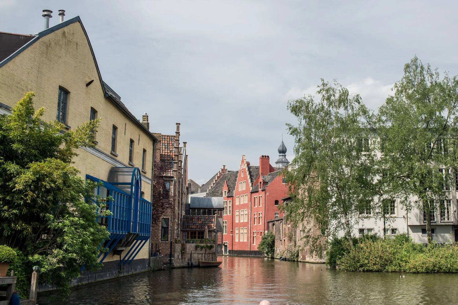 1500 px-1037.jpg