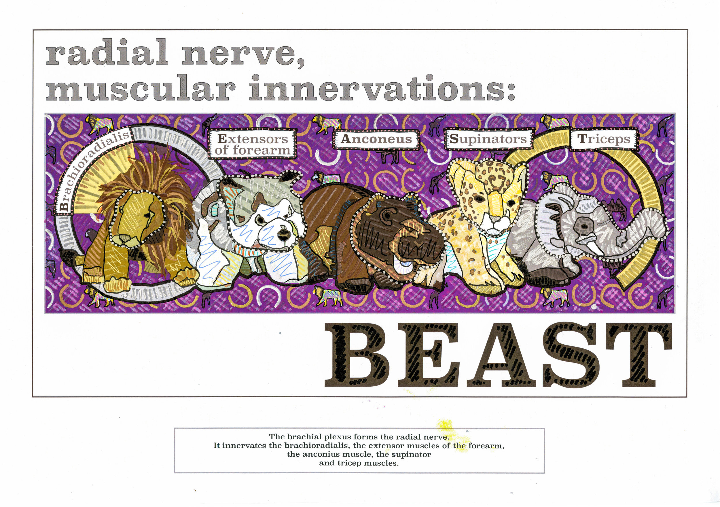 BEAST.jpg