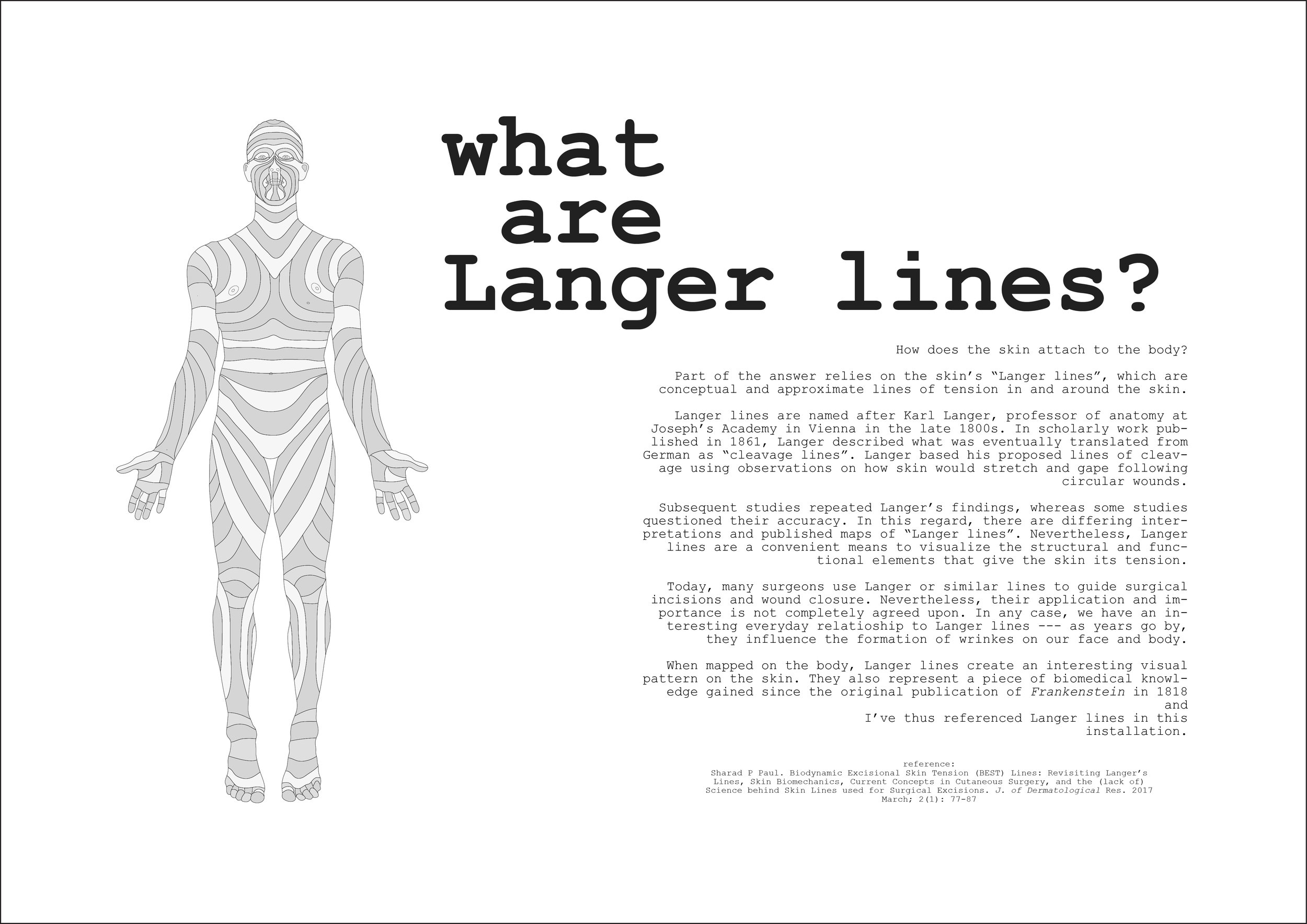 Langer lines