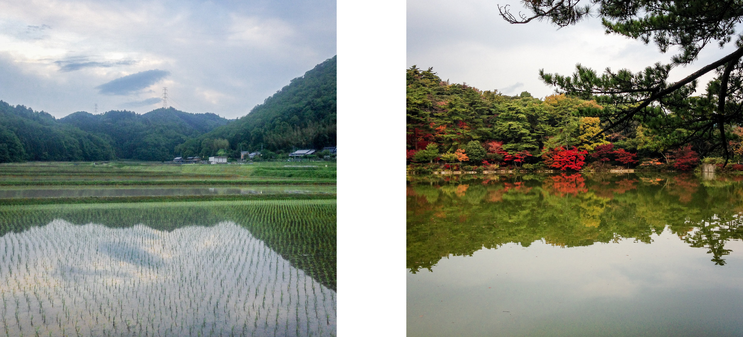 cloud diptych-01-01.jpg