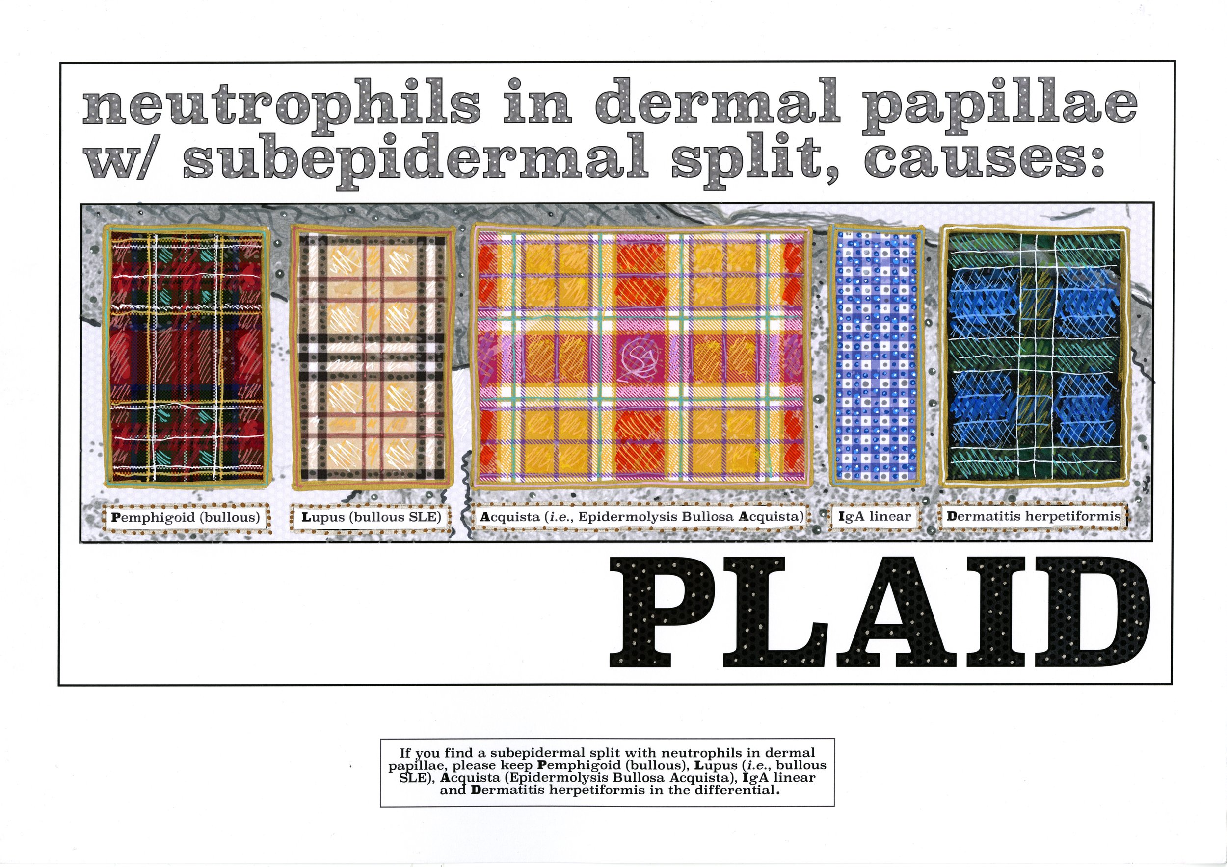 16 PLAID.jpg