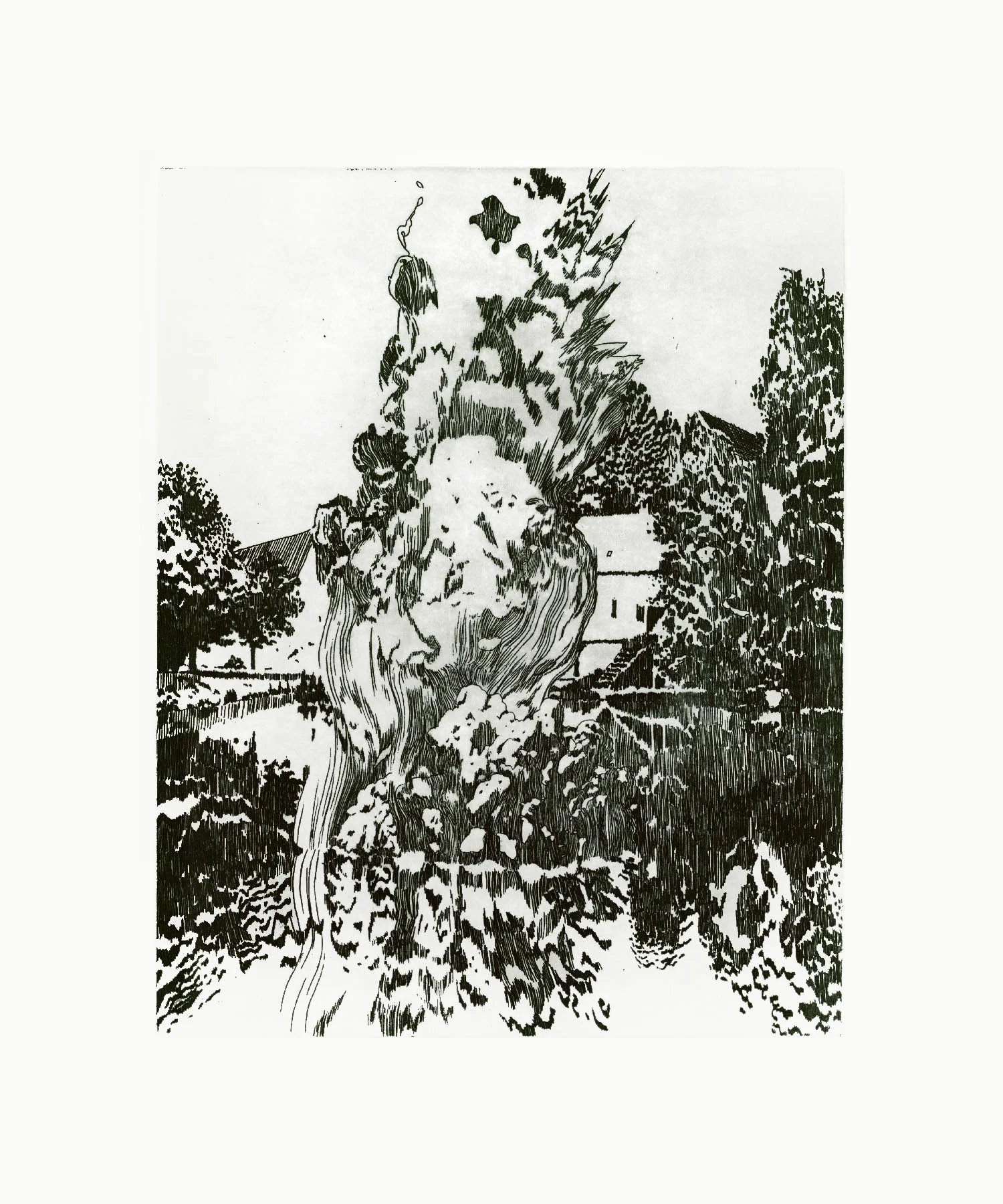Rix Aluminium etching 36.5cm x 29.5cm (plate size) Hahnemühle German Etching Paper 310 gms 2012