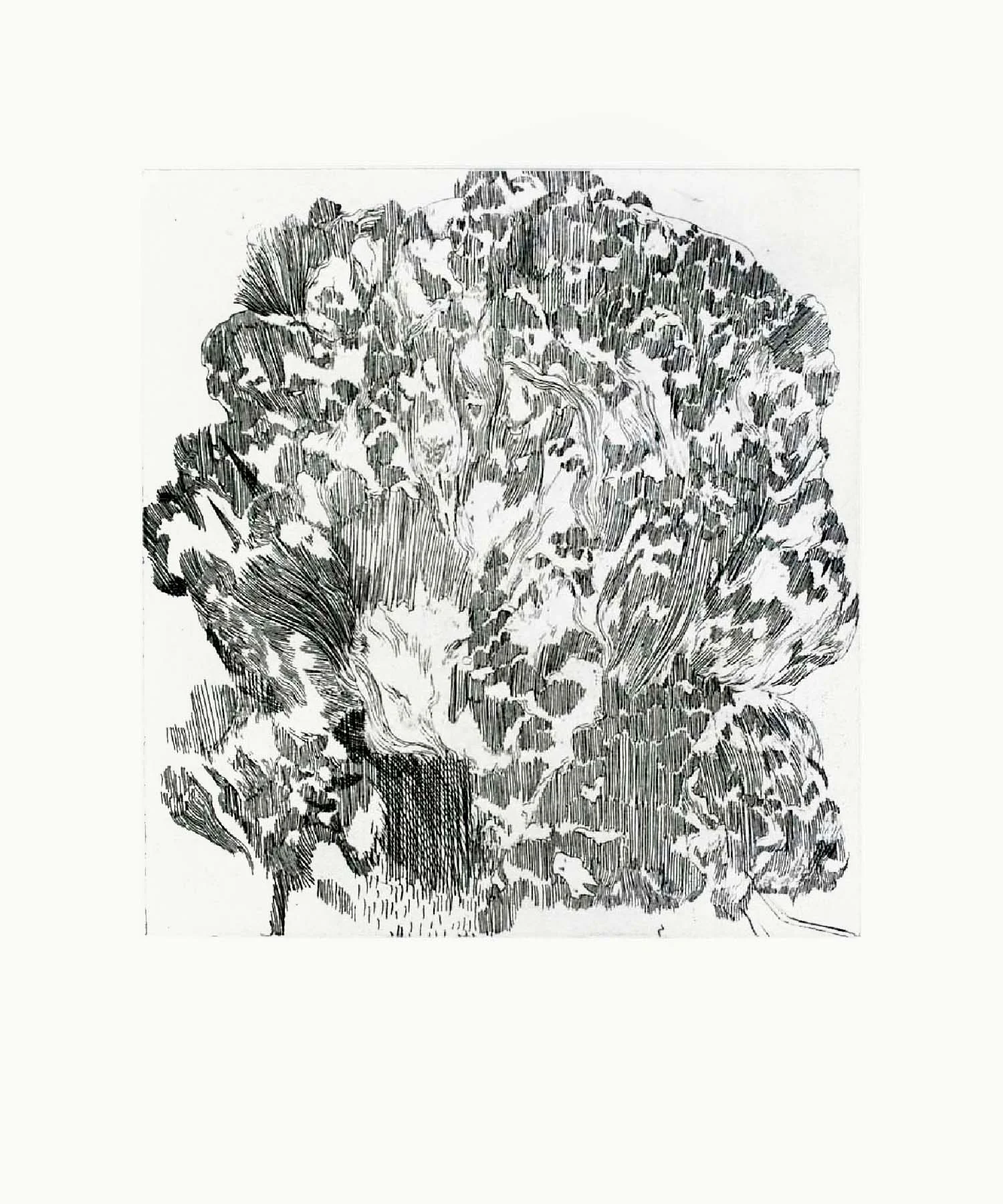 Pastille I Aluminium etching 29.5cm x 29cm (plate size) Hahnemühle German Etching Paper 310 gms 2012
