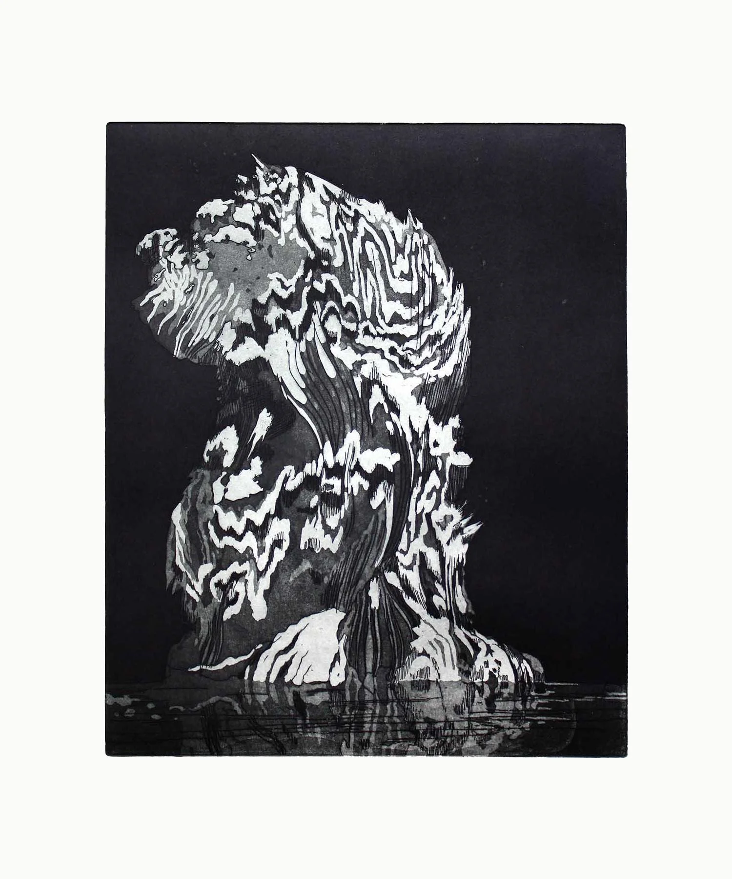 MA_4 Aluminium etching 36cm x 29cm (plate size) Hahnemühle German Etching Paper 310 gms 2013