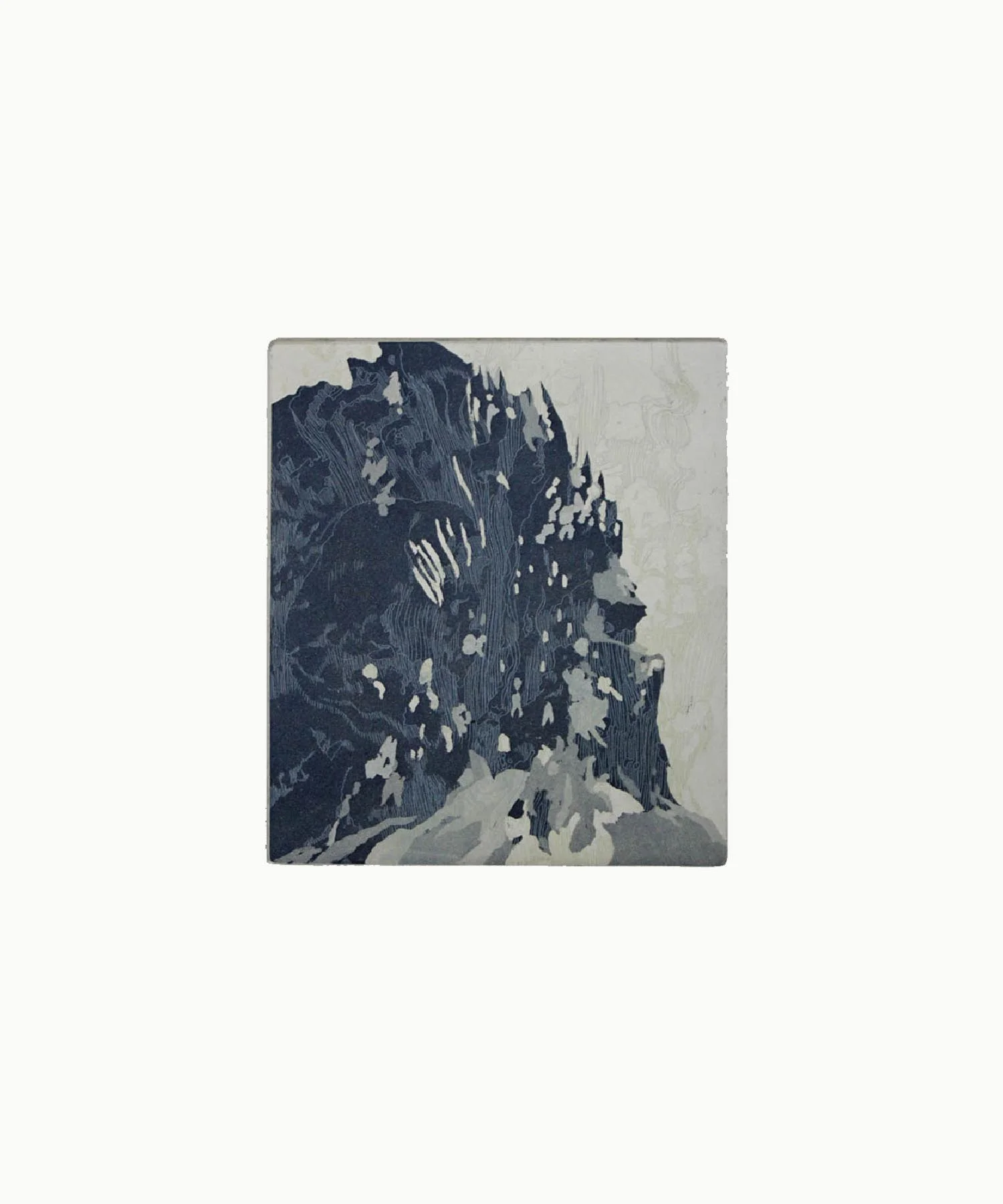 Royal Undex Copper two plate etching / aquatint 20cm x 15cm (plate size) Hahnemühle German Etching Paper 310 gms 2013