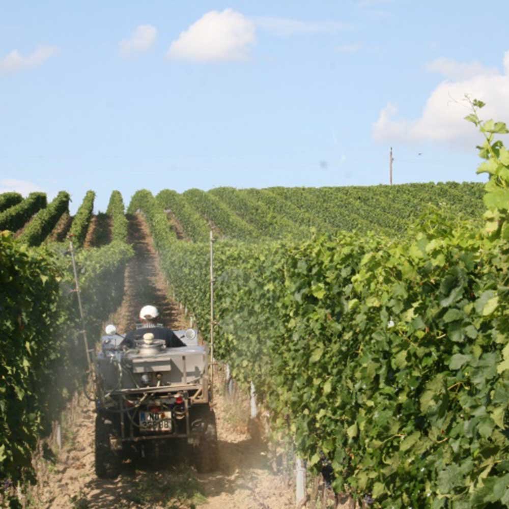 Quad-in-the-vineyard-spraying-tee.jpg