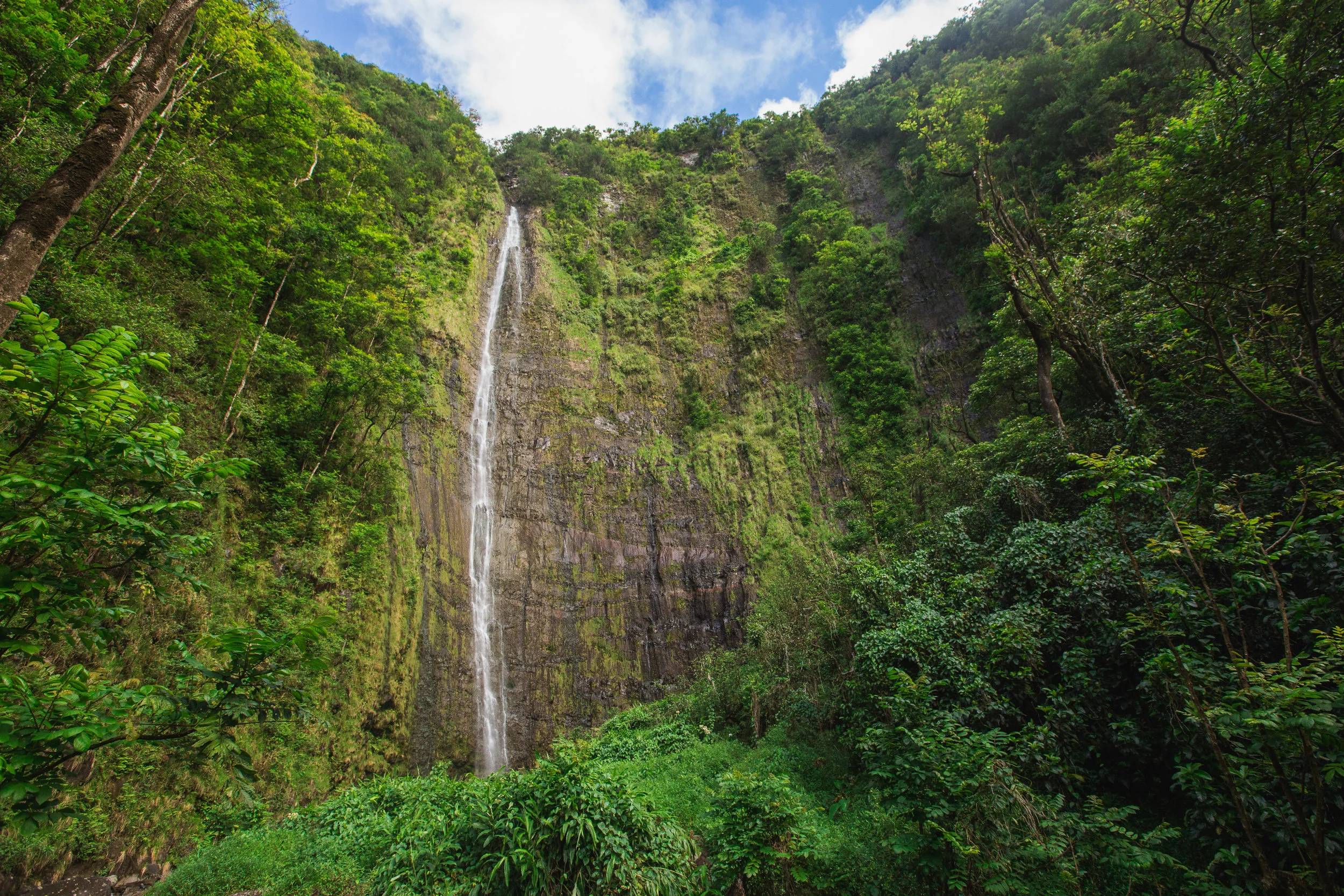 Hawaii Waterfall
