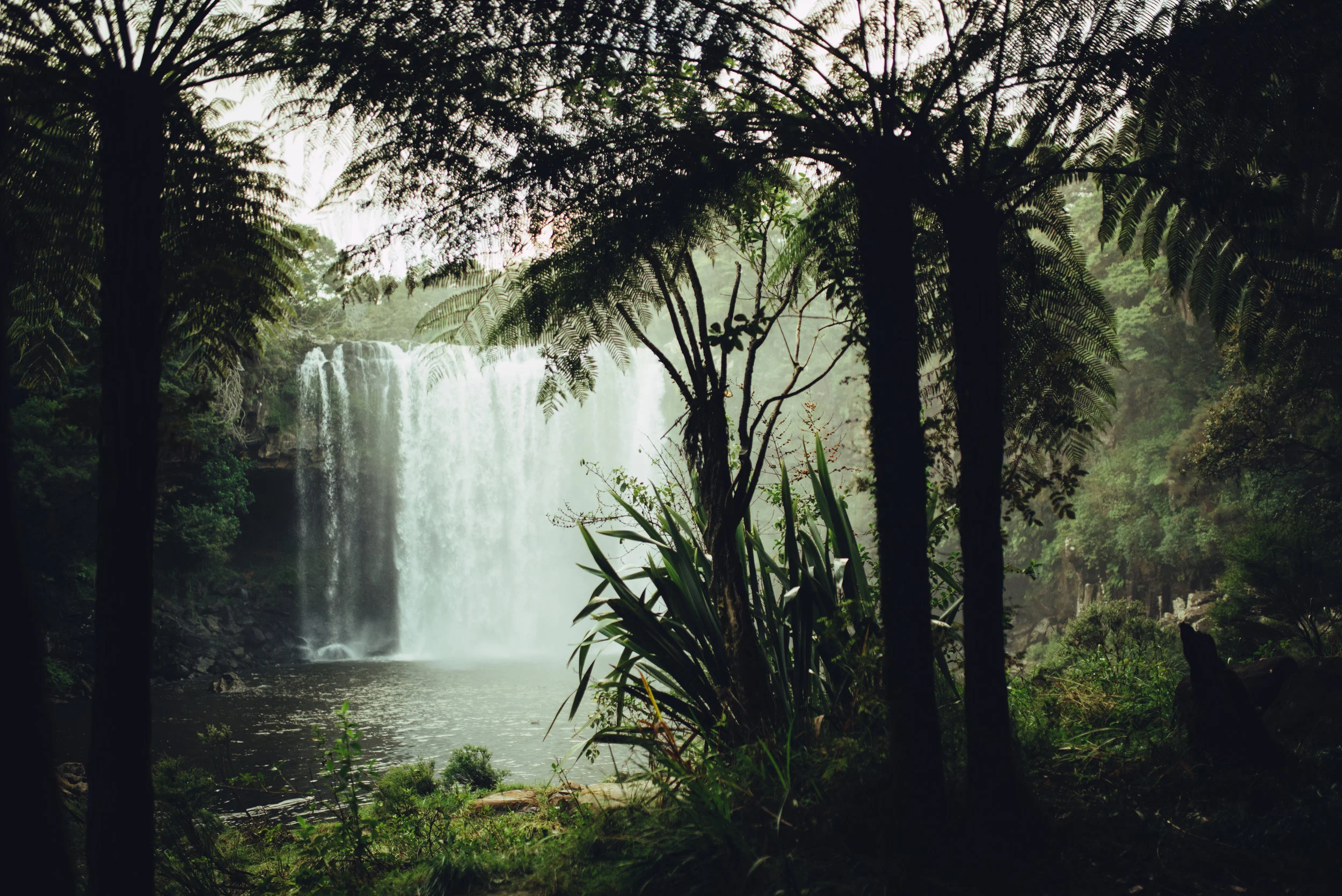 New Zealand Water Fall
