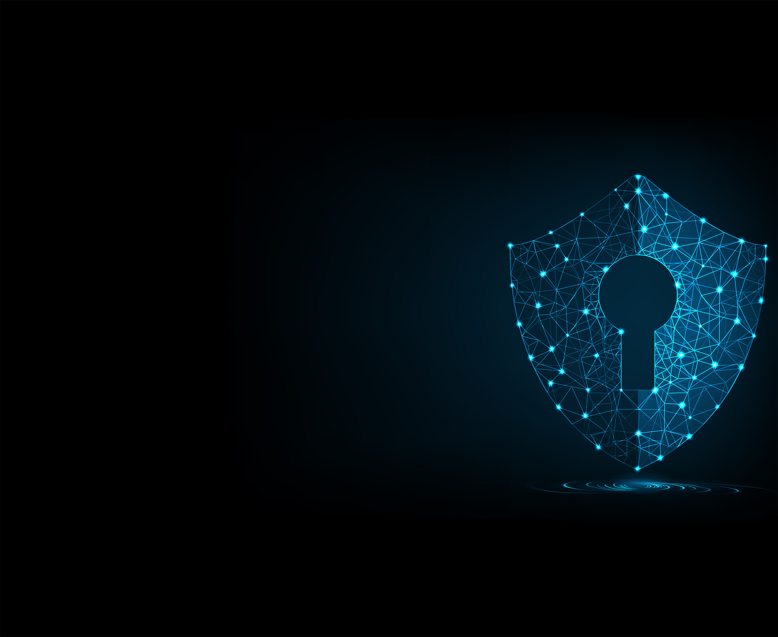 Cyber Security As-a-Service Focus on your Business. Trust us with your Security. Learn More