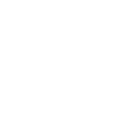 IT Security Icon White 2.png