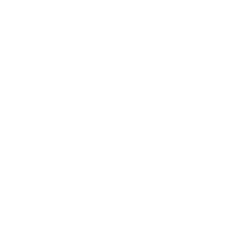 Networking Icon White 2.png