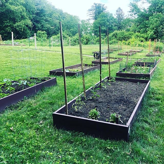 It&rsquo;s that time of year again. Garden season! Happy to be working with @nourishingthenorthshore again. 
They do such wonderful community work. Glad to be a part of it #.
Will keep y&rsquo;all updated on the garden progress!
#HeresToSummer #Garde