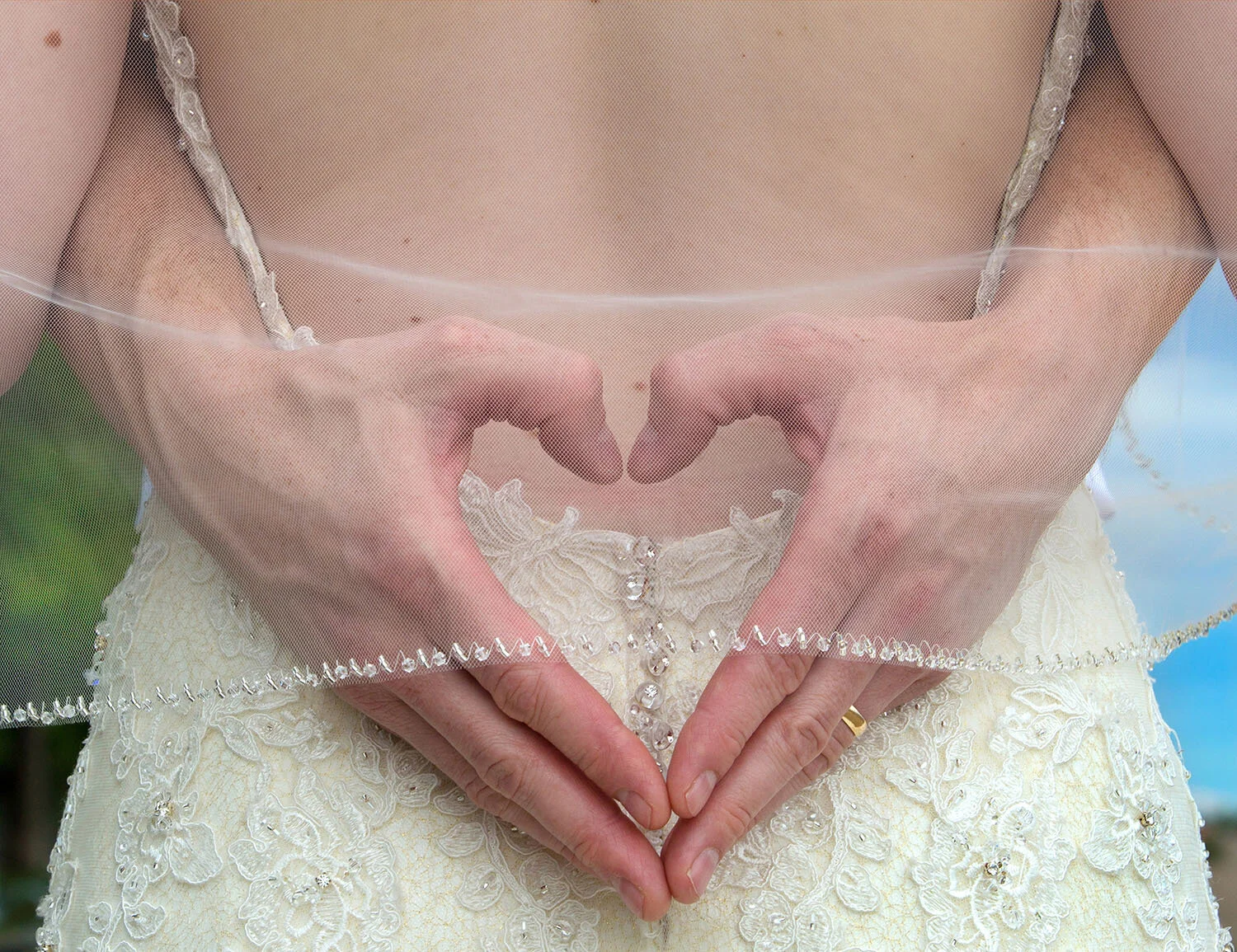 Back 01.jpg