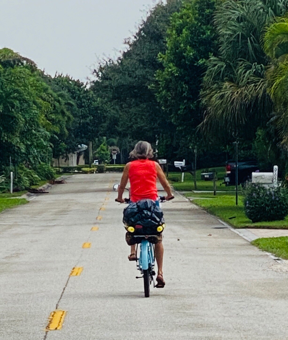 Guest Stories:  Peggy Fischer