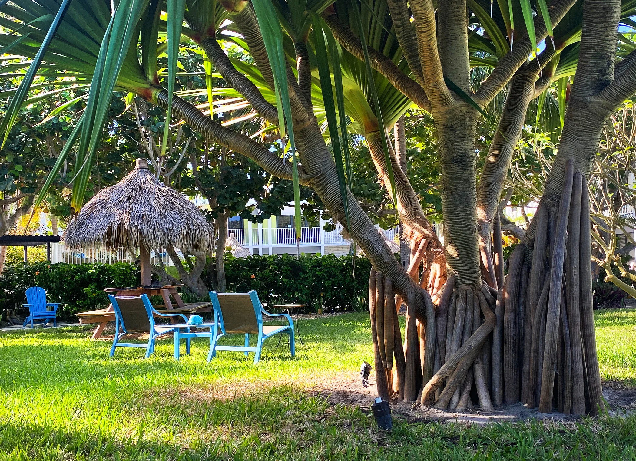 The Perfect Place For Your Bubble