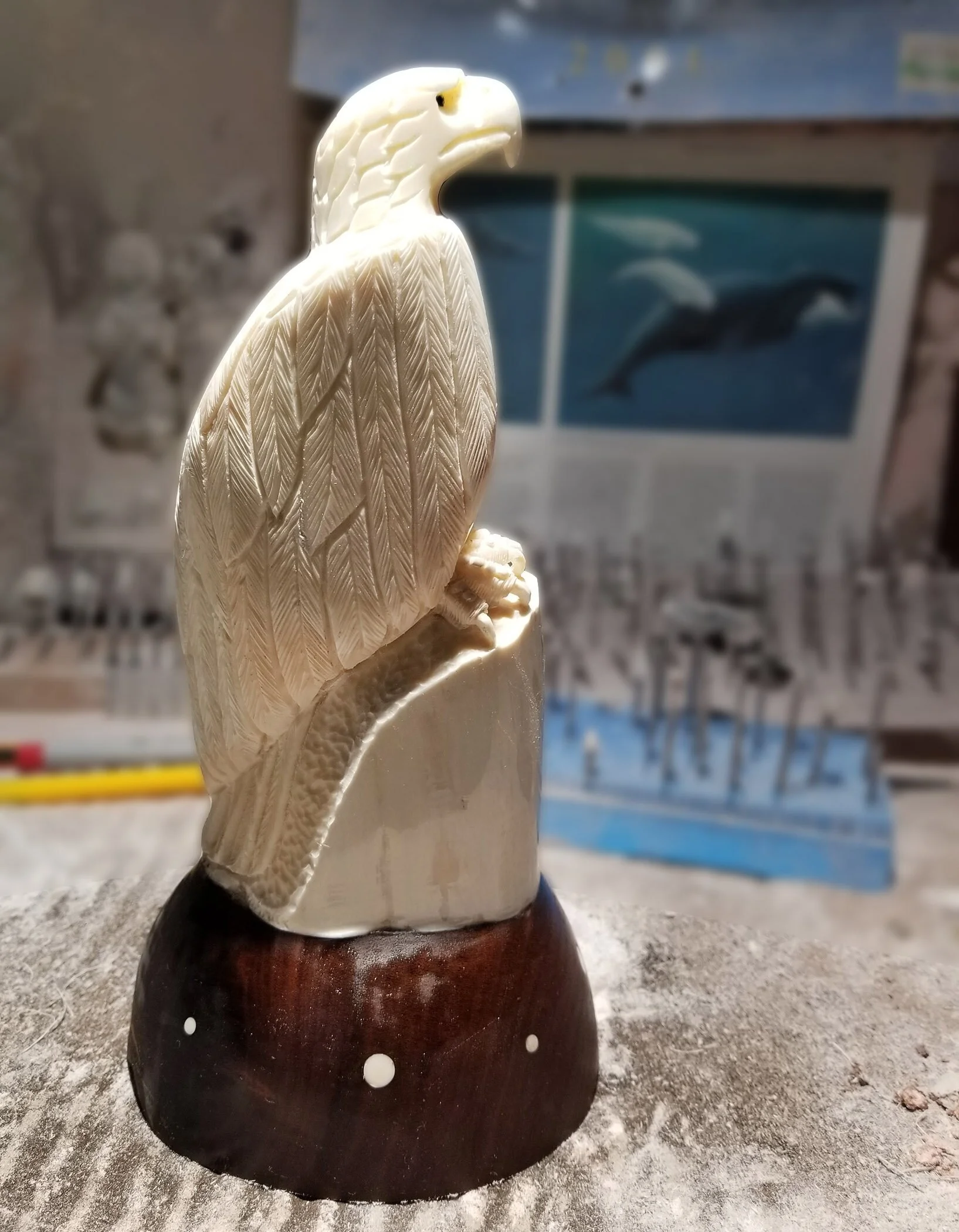 Guest Stories: Sam Dimmick