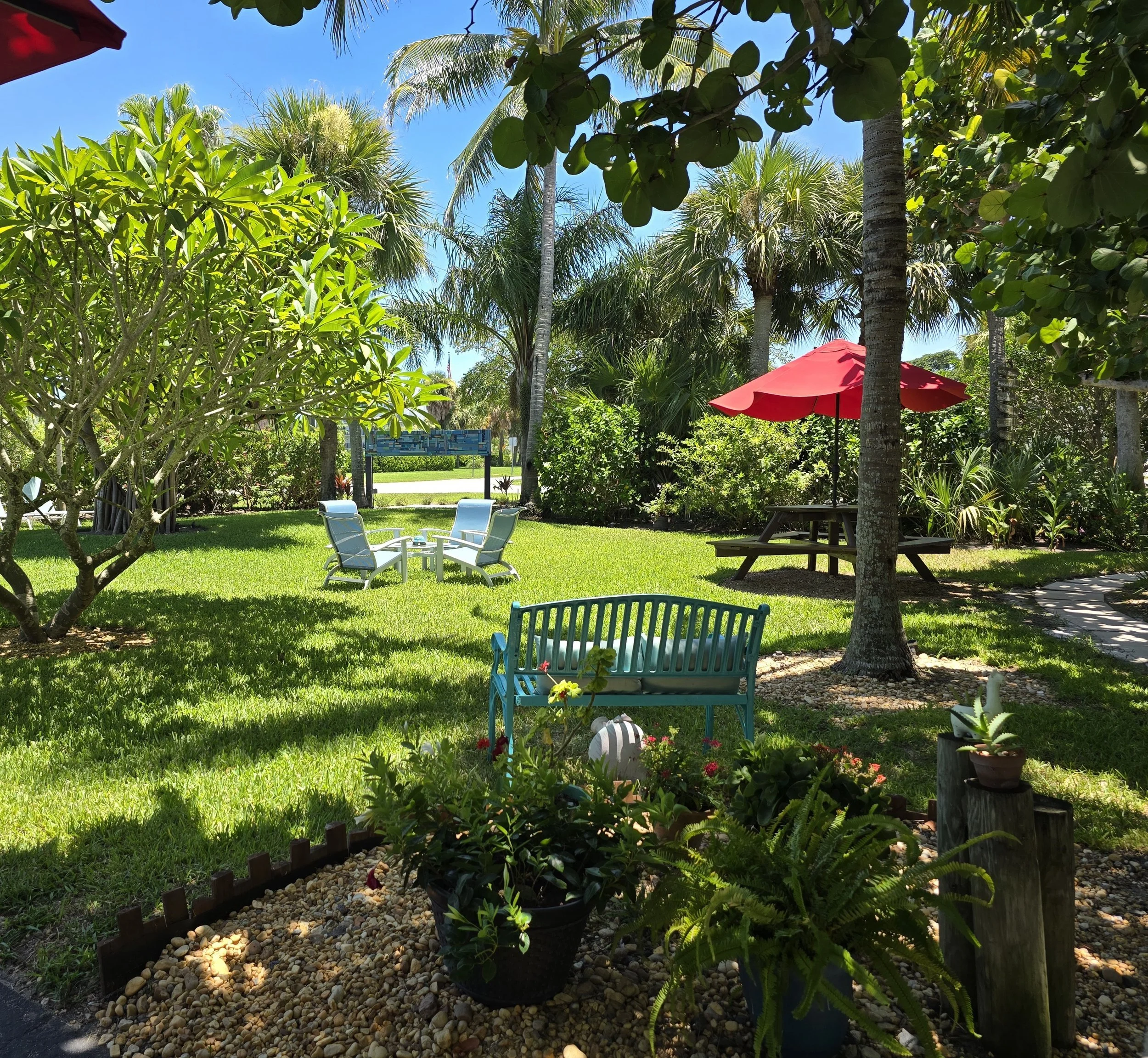 The Peaceful Garden