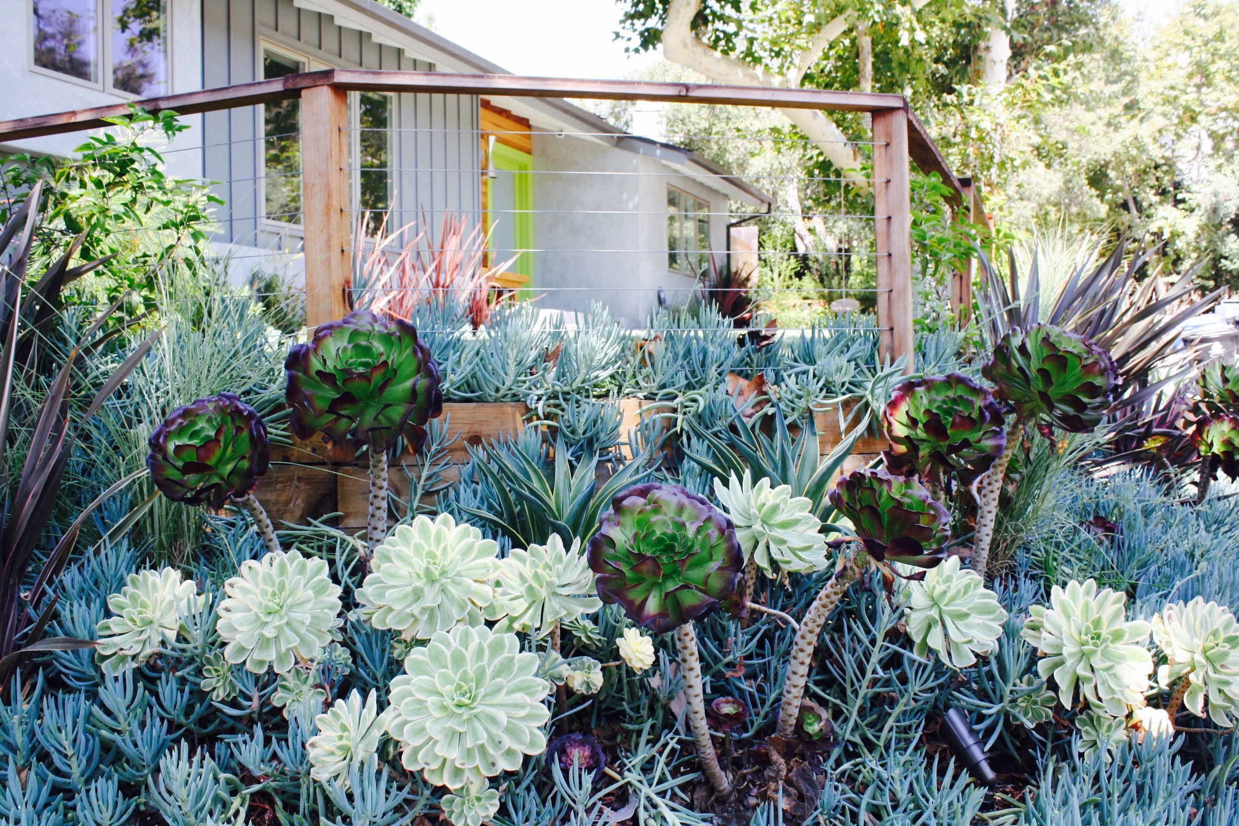 File Sep 07, 1 26 27 PM.jpeg