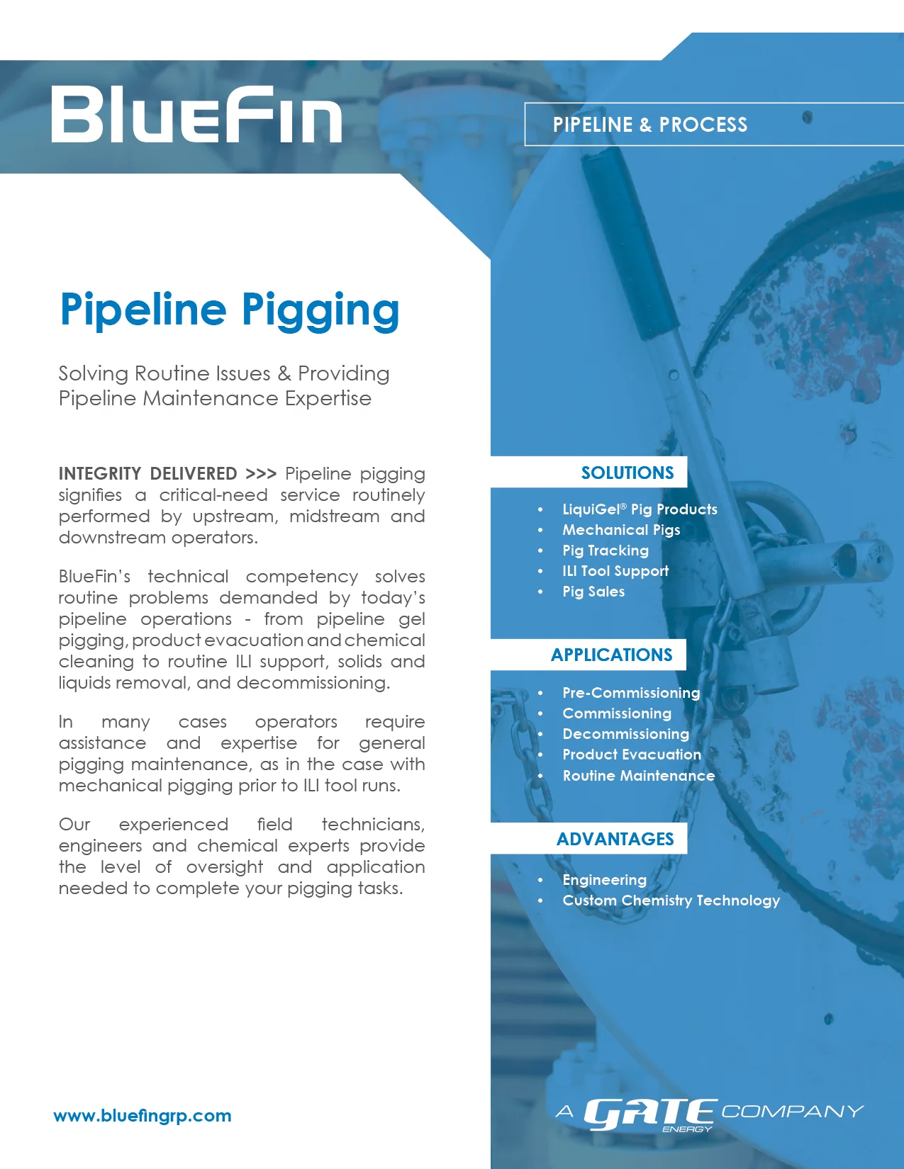 Pipeline Pigging