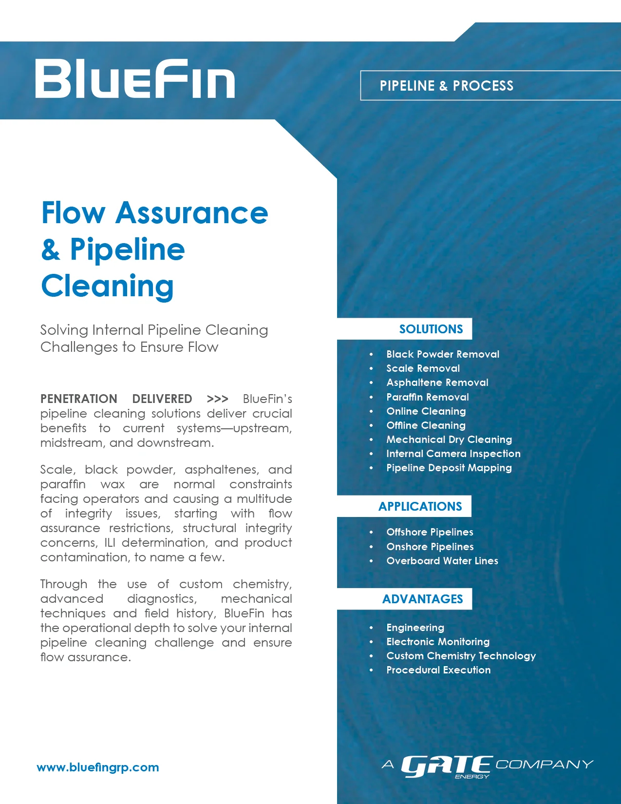 Flow Assurance & Pipeline Cleaning