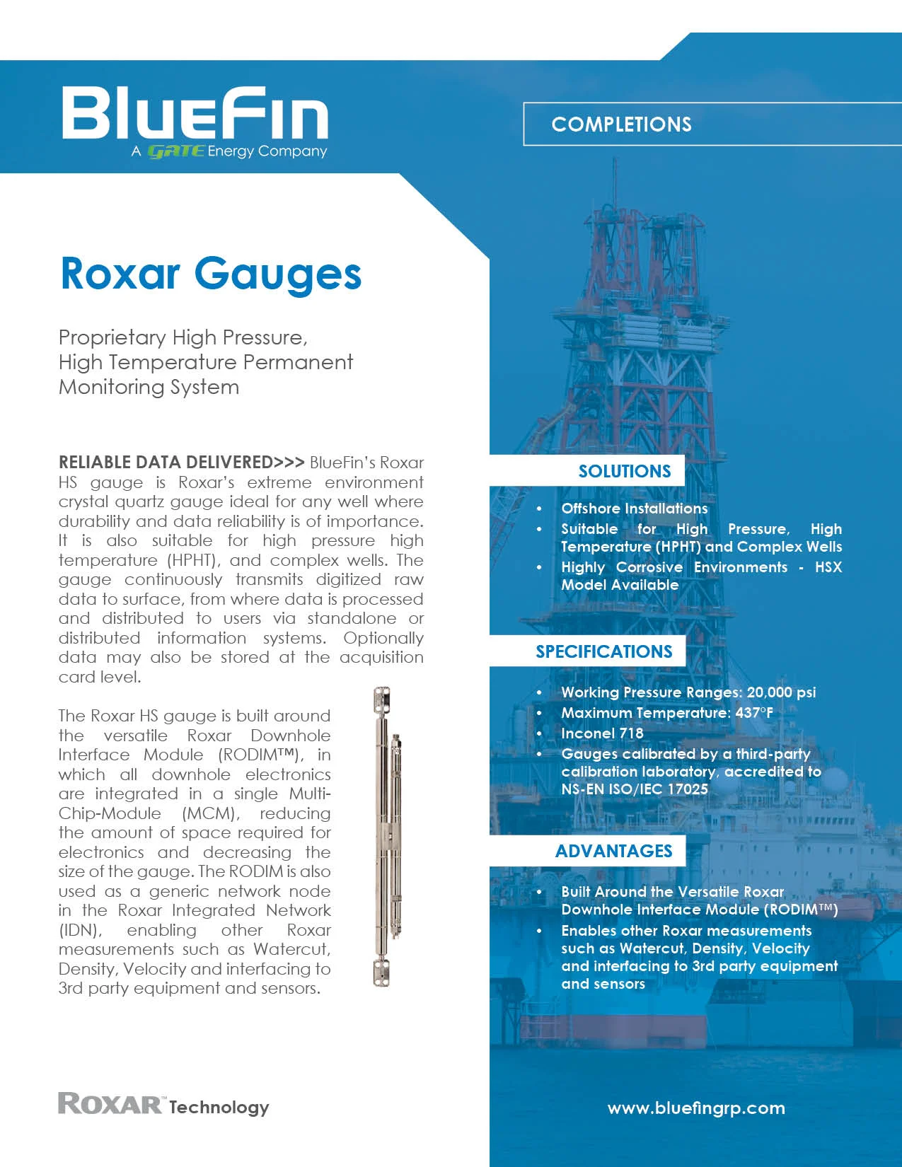 Roxar Gauge