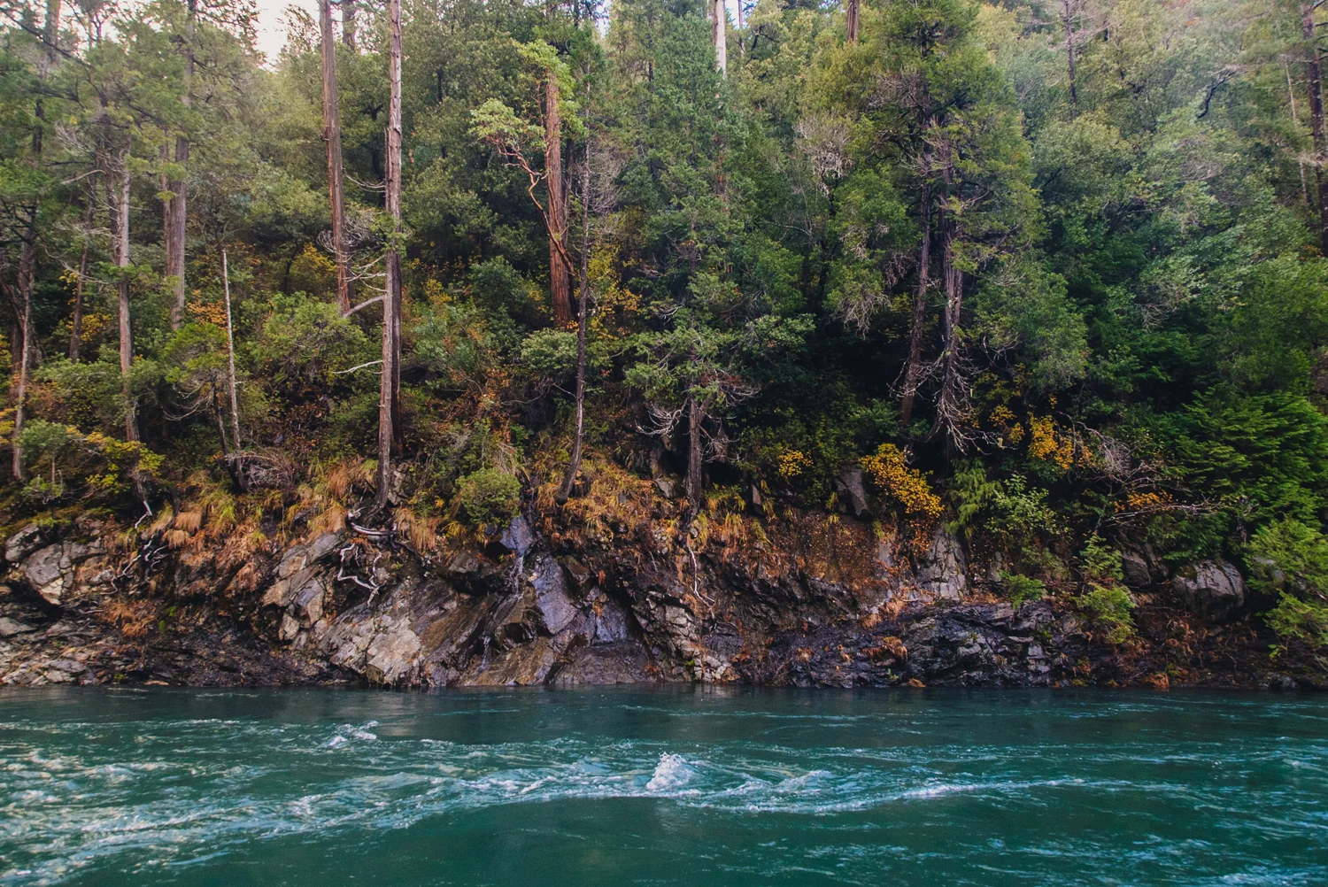 For the love of the Kalmiopsis wild rivers: An interview with local filmmaker Nate Wilson
