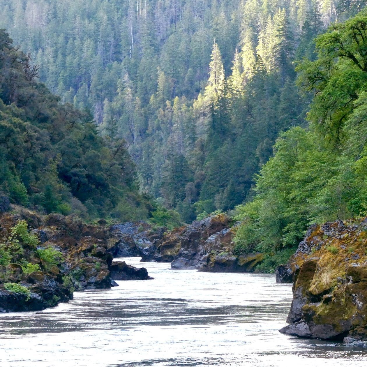 Lower+Rogue+River+near+Kelsey+creek+lndscp+%282%29.jpg