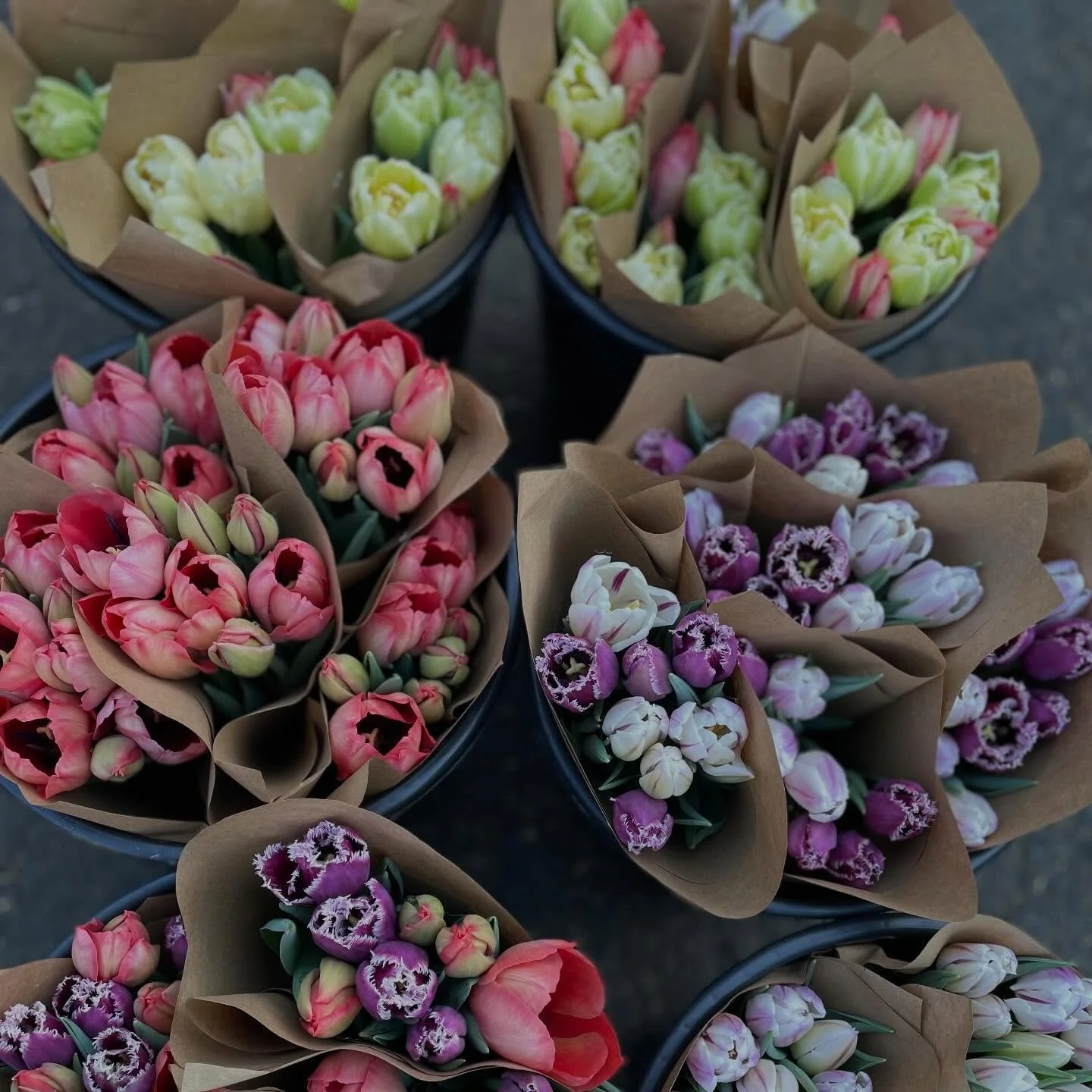 Flora 1.jpg
