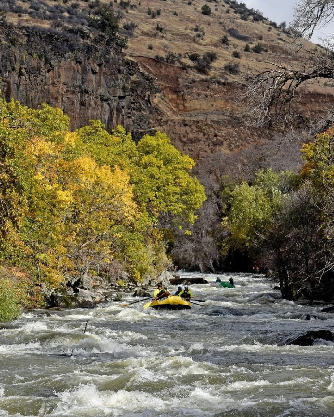 Social media - IG (6).png