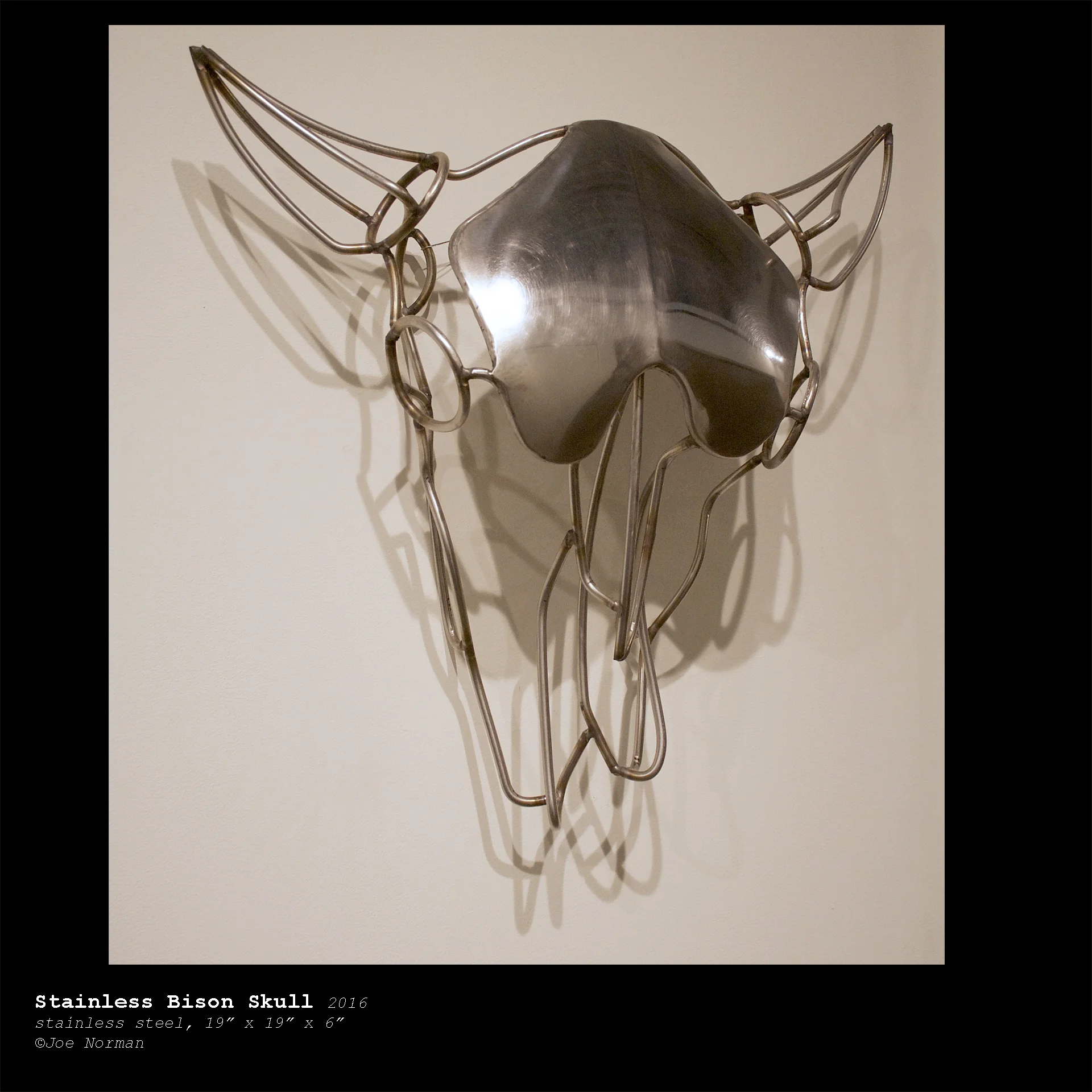 stainless skull.jpg