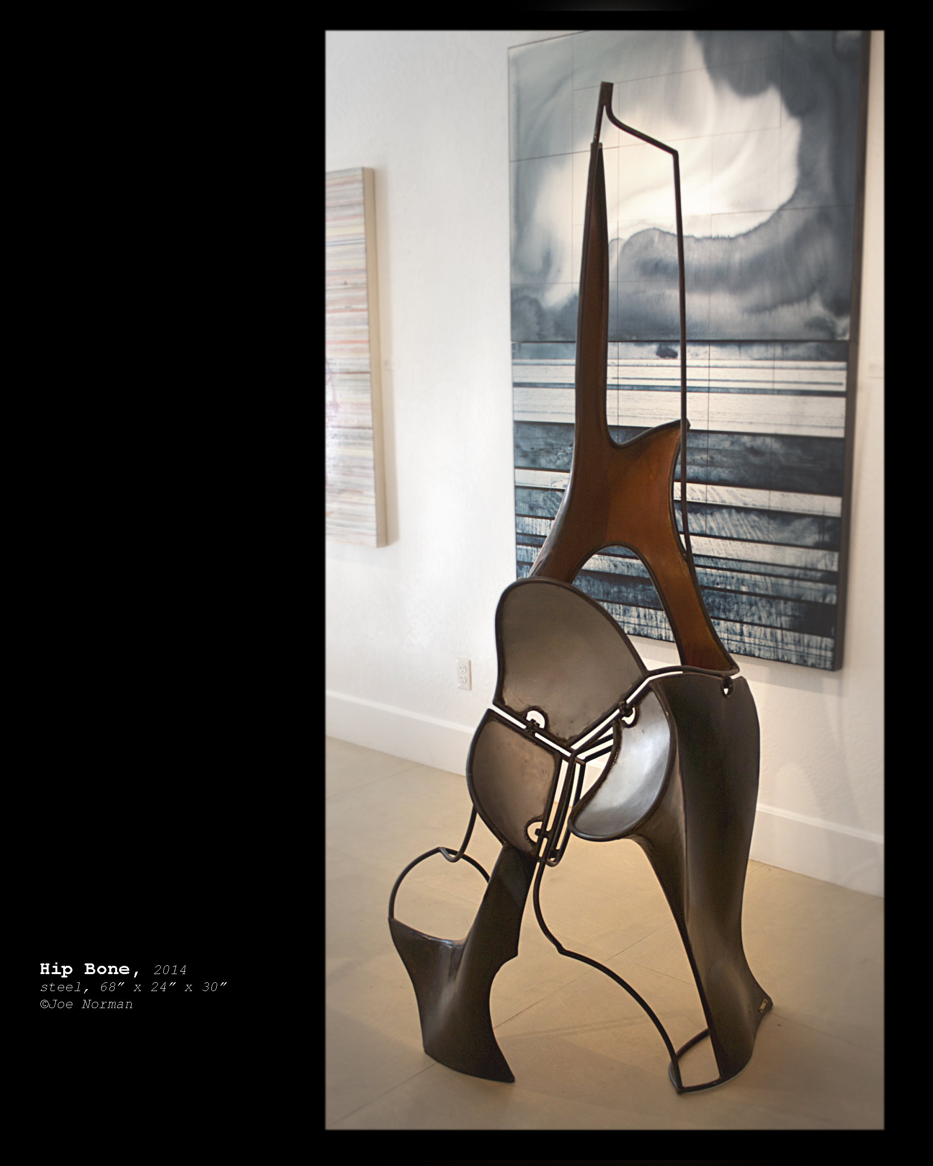 Hip Bone MPIX copy.jpg