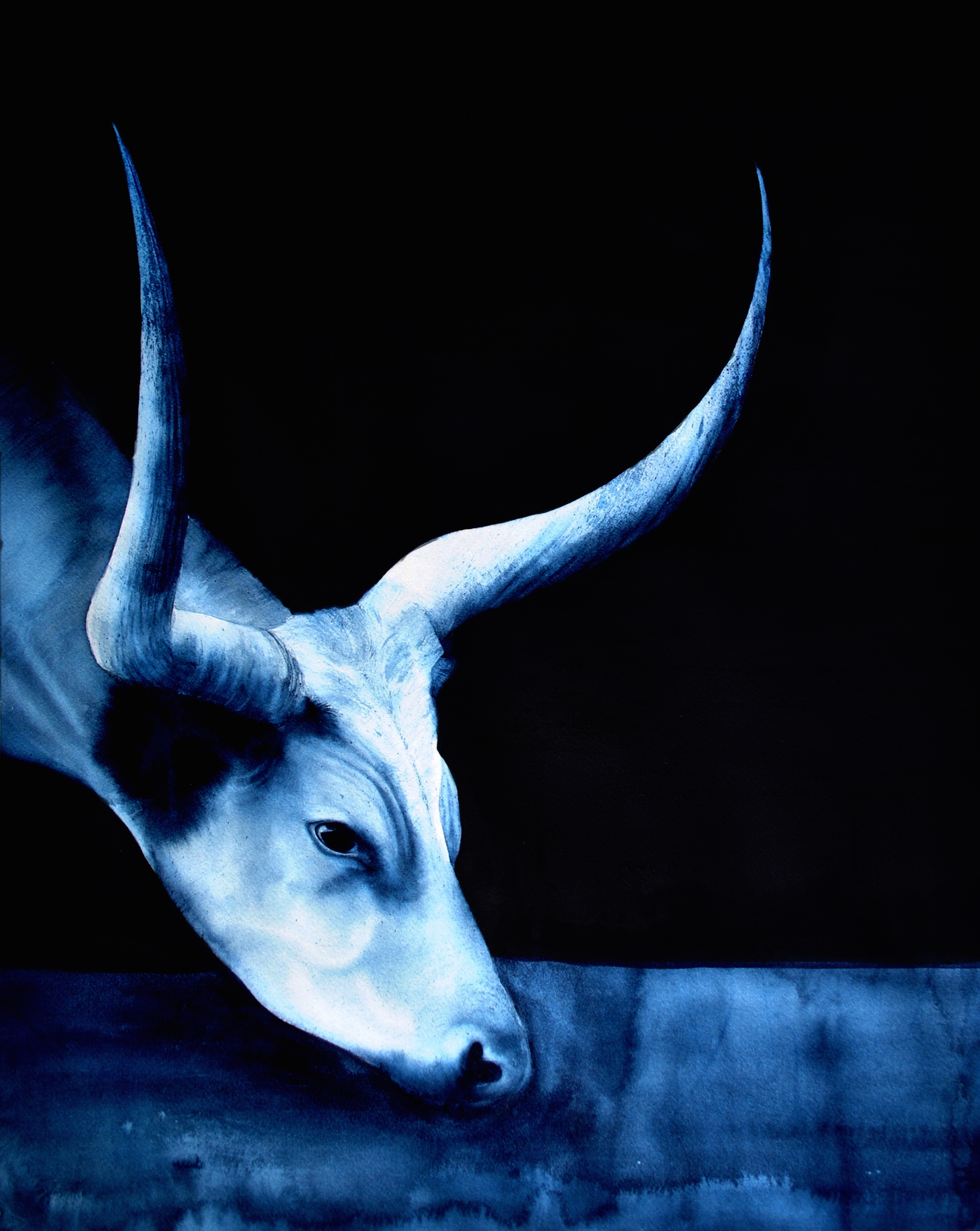 Blue Antlers 8 x 10.jpeg