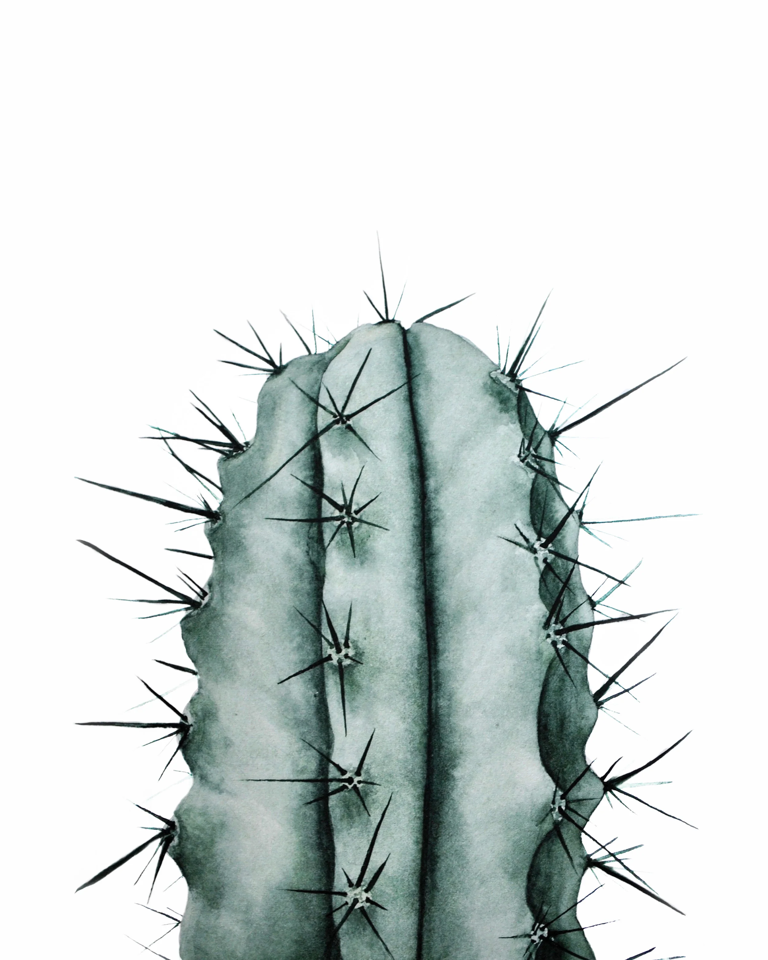 Cactus 8 x 10.jpg
